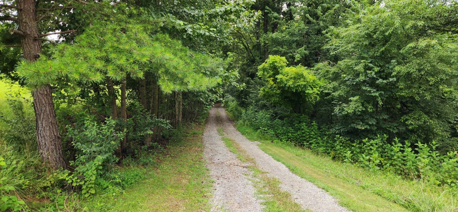 13384 Hardy RD - Photo 2
