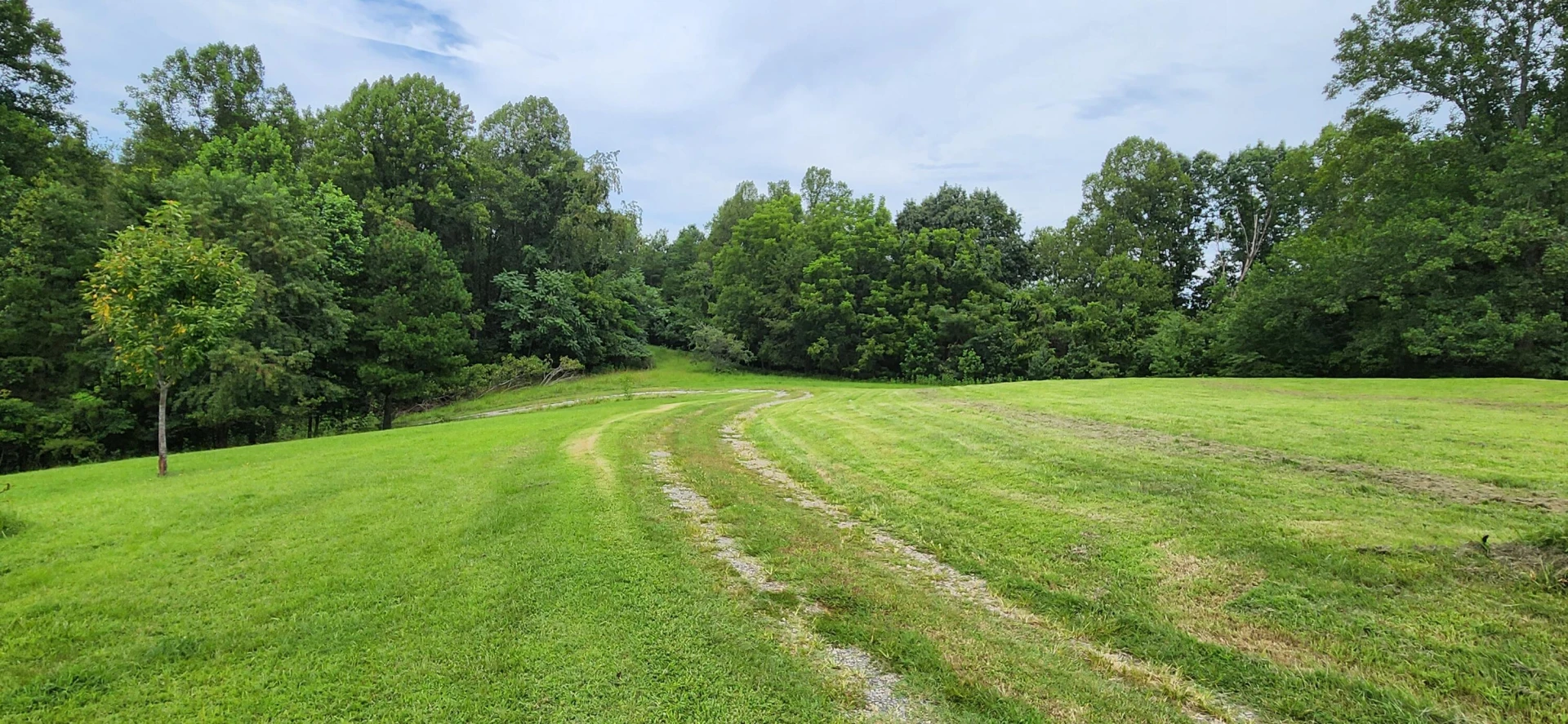 13384 Hardy RD - Photo 3