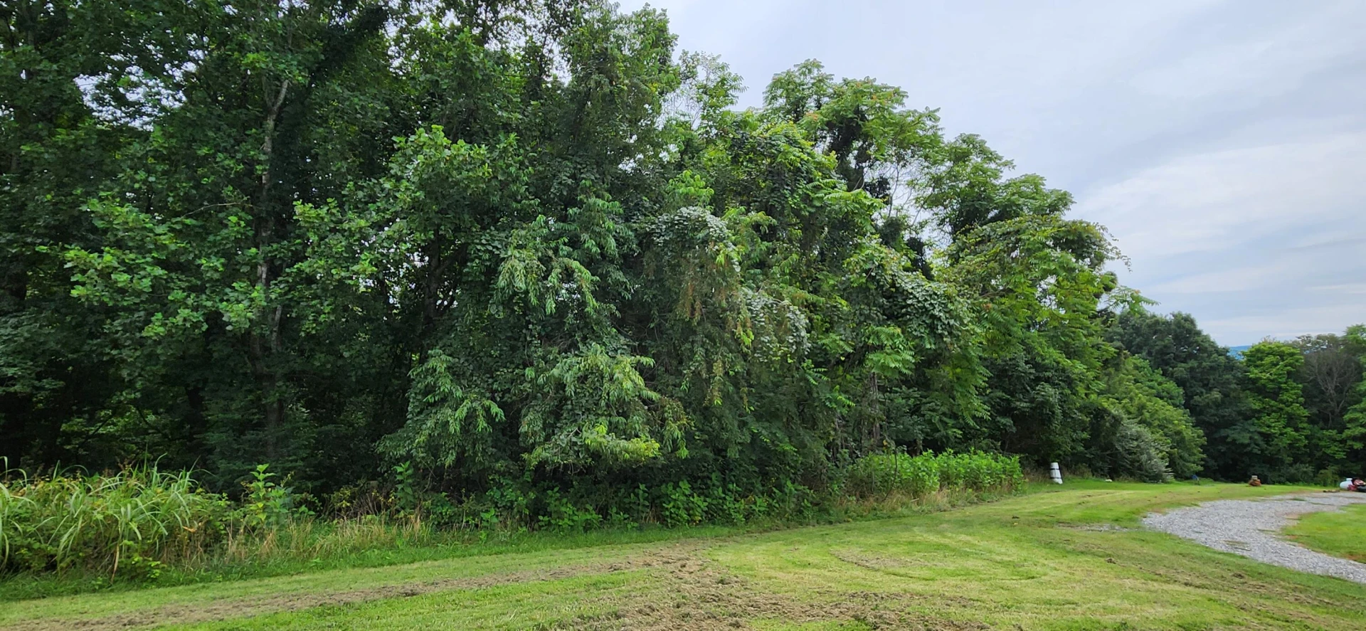 13384 Hardy RD - Photo 4