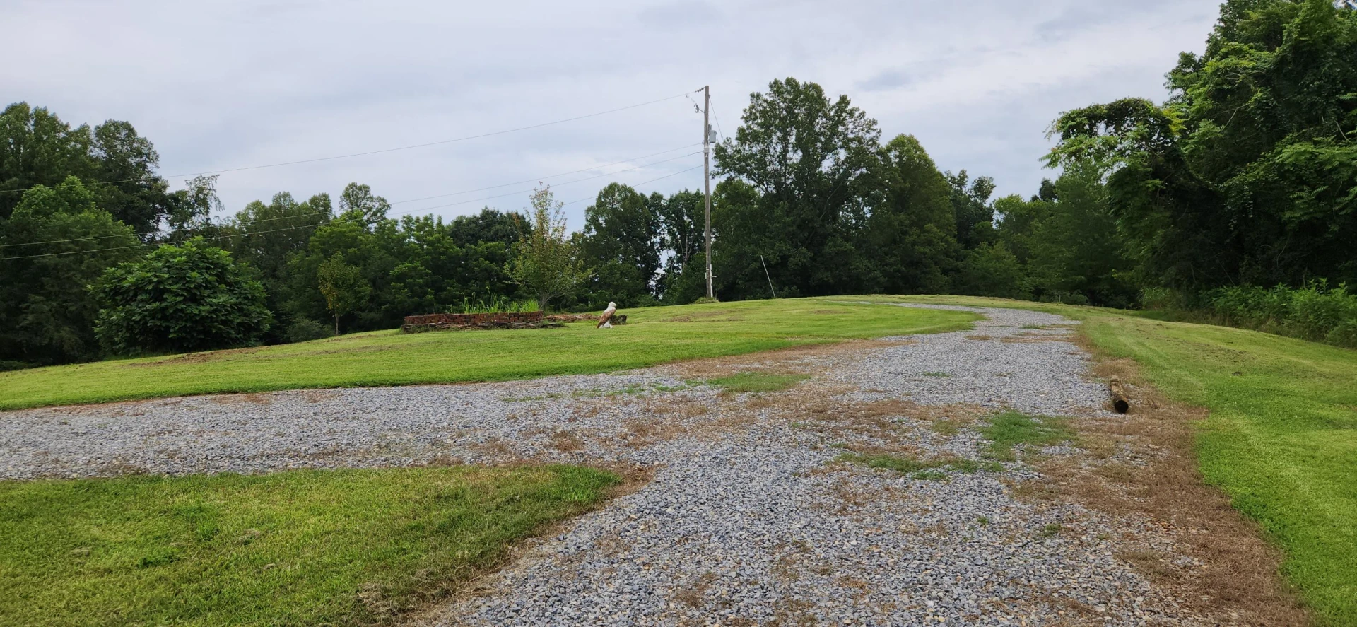 13384 Hardy RD - Photo 46