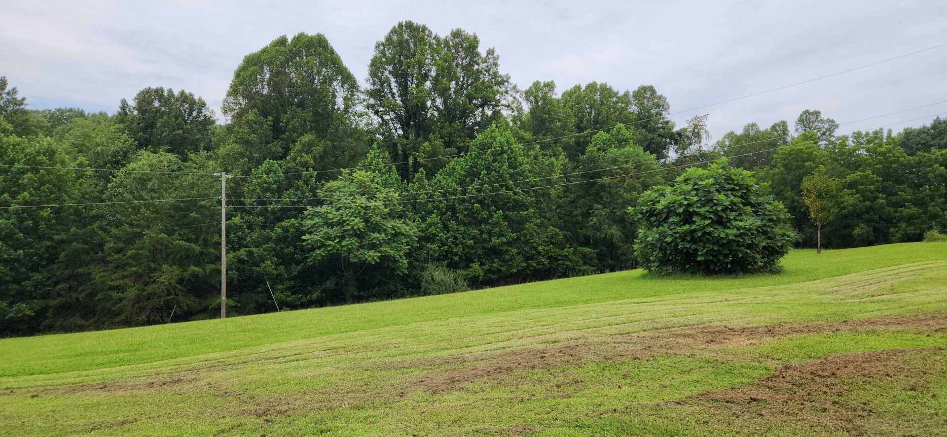 13384 Hardy RD - Photo 47