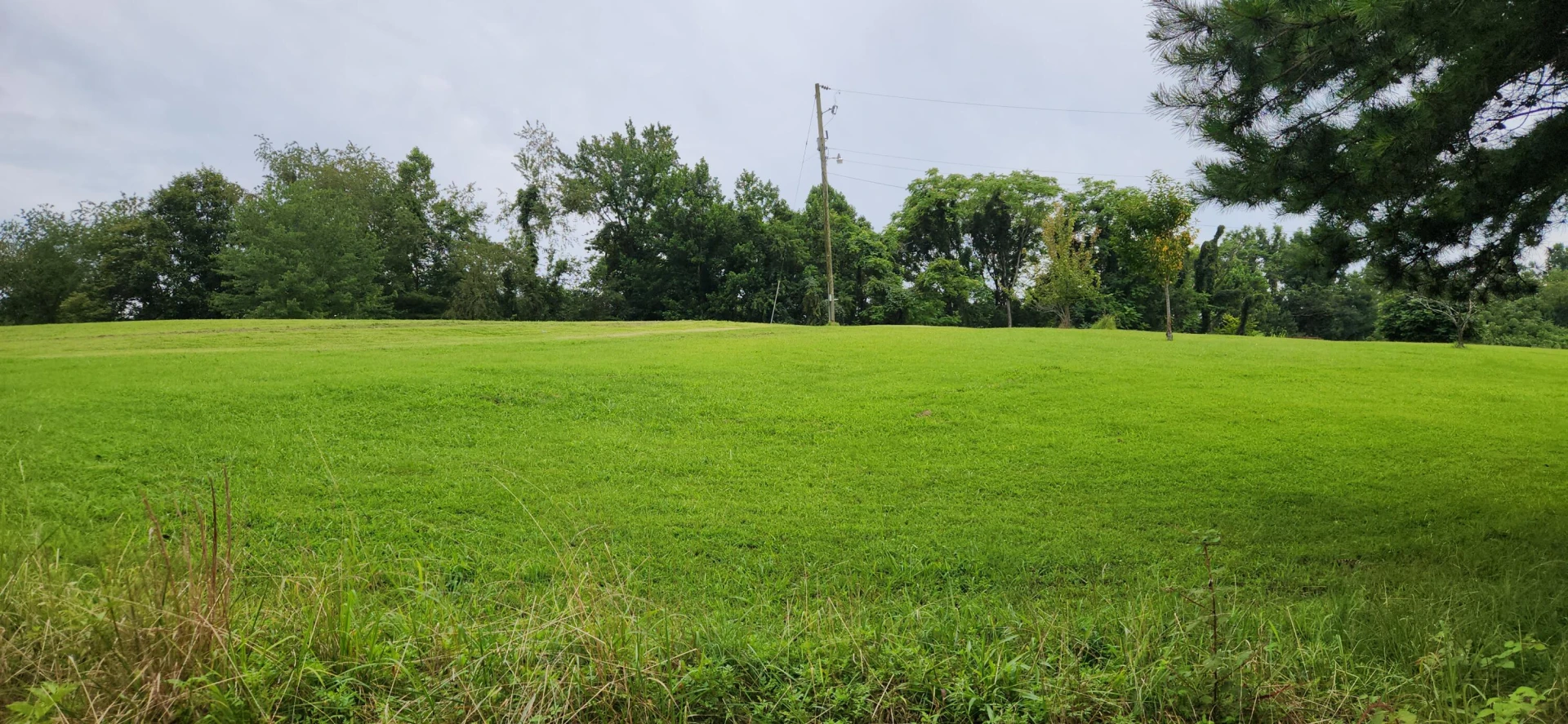 13384 Hardy RD - Photo 48