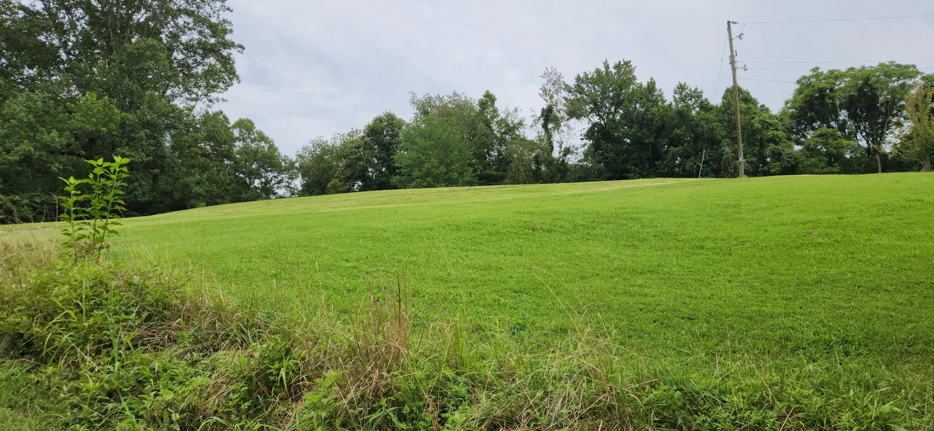 13384 Hardy RD - Photo 49