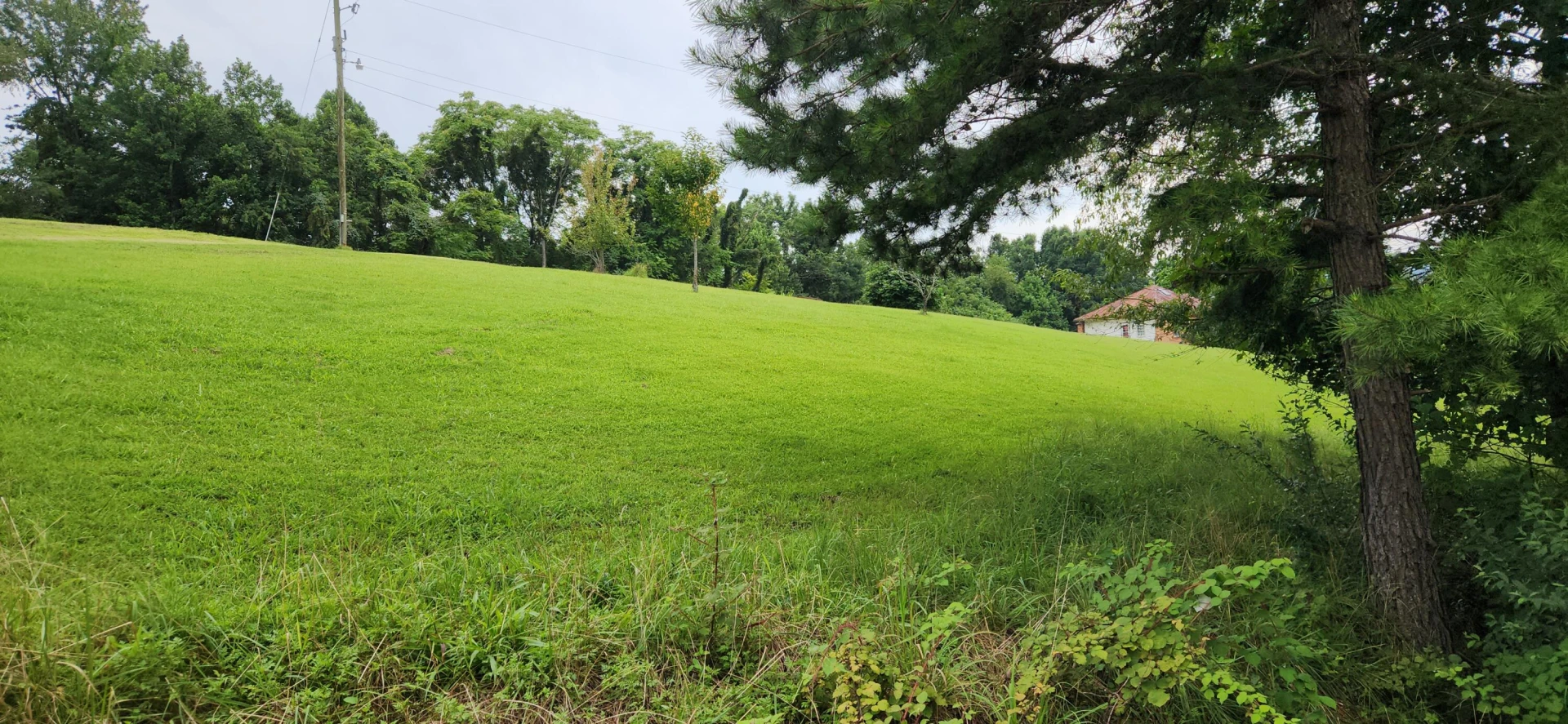 13384 Hardy RD - Photo 50