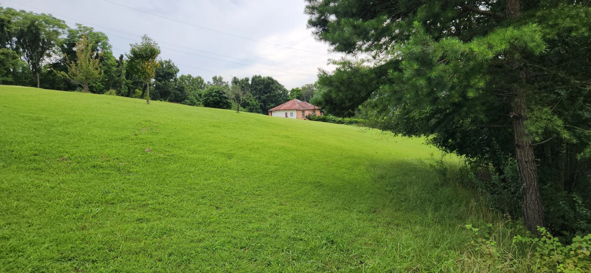 13384 Hardy RD - Photo 51