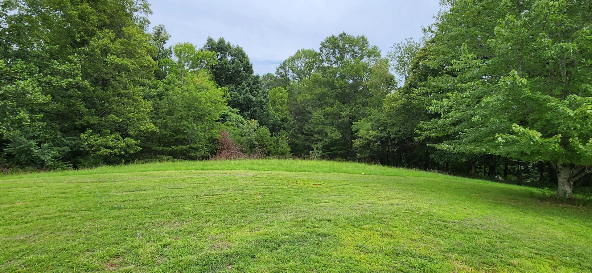 13384 Hardy RD - Photo 6