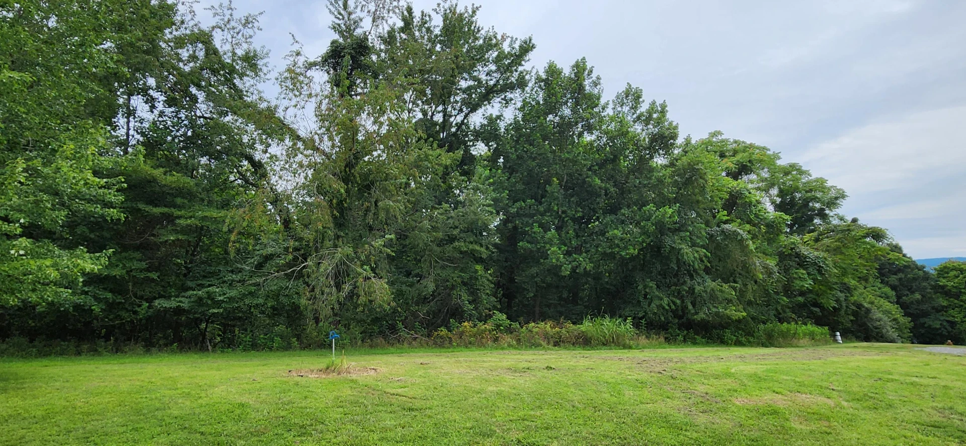 13384 Hardy RD - Photo 7