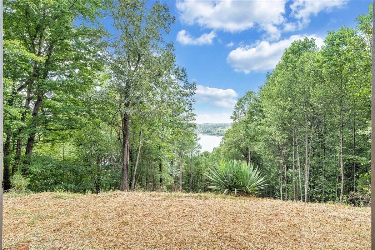 1121 BUCK TAIL CT - Photo 50