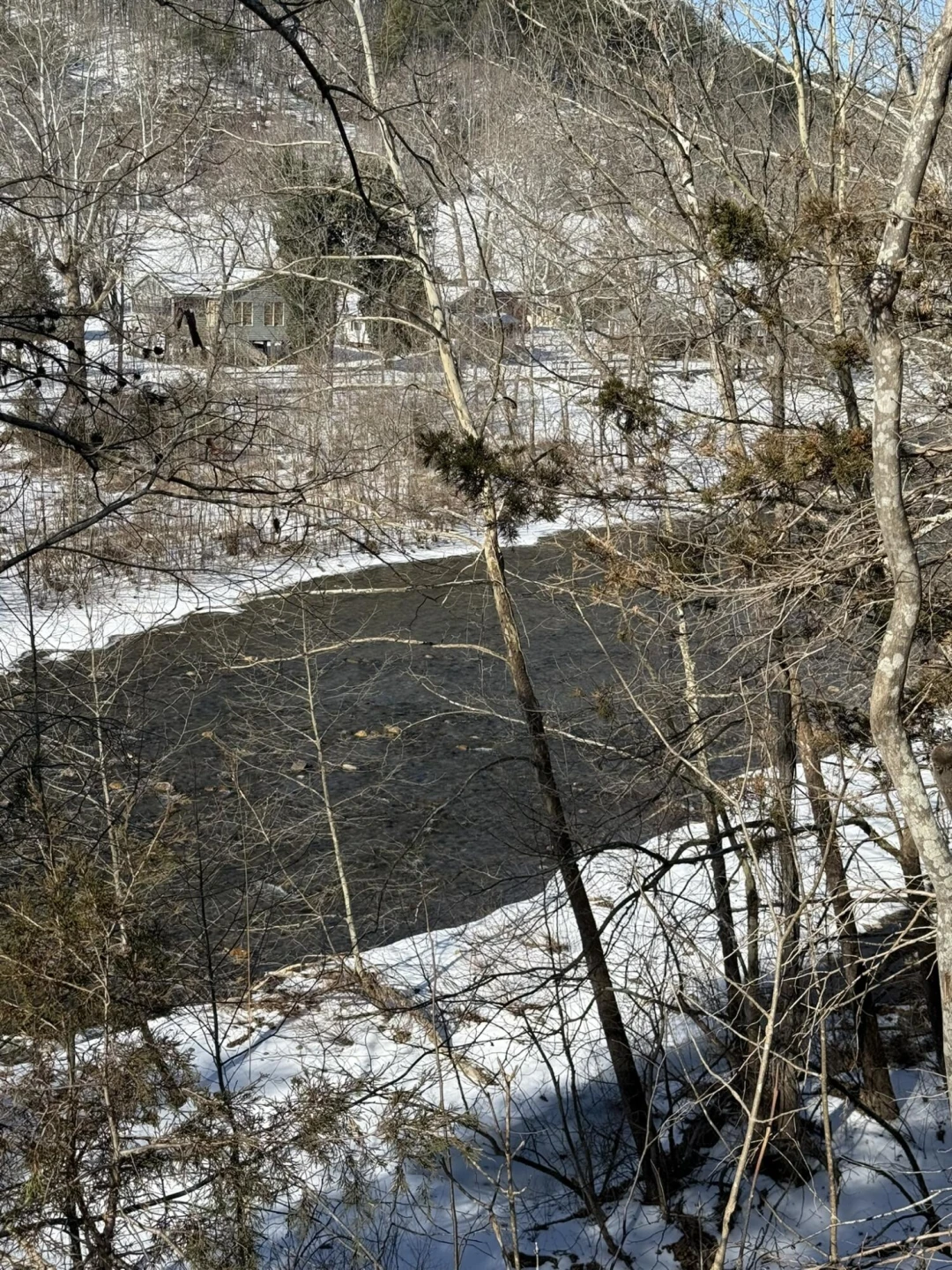 207 Glen Haven DR