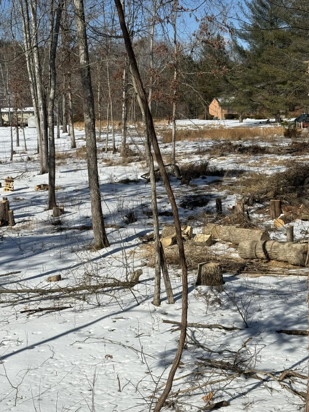 207 Glen Haven DR - Photo 2