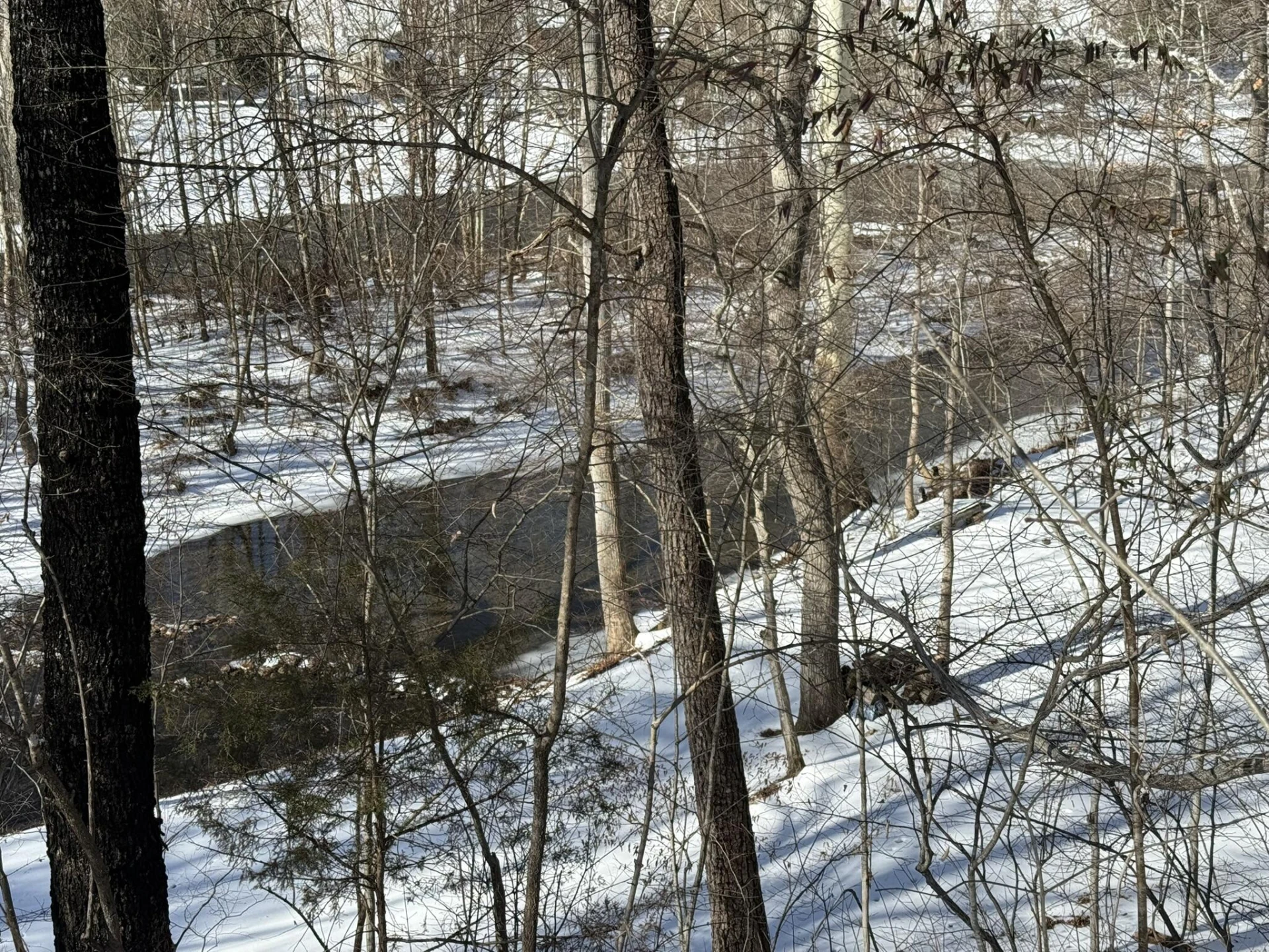 207 Glen Haven DR - Photo 8