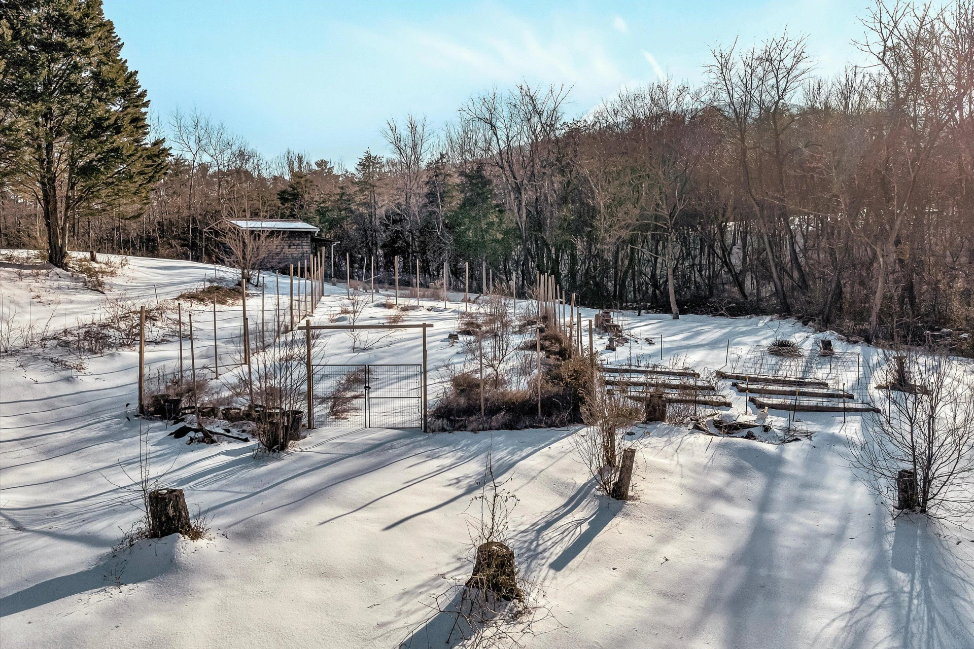 3120 Carvins Cove RD - Photo 47
