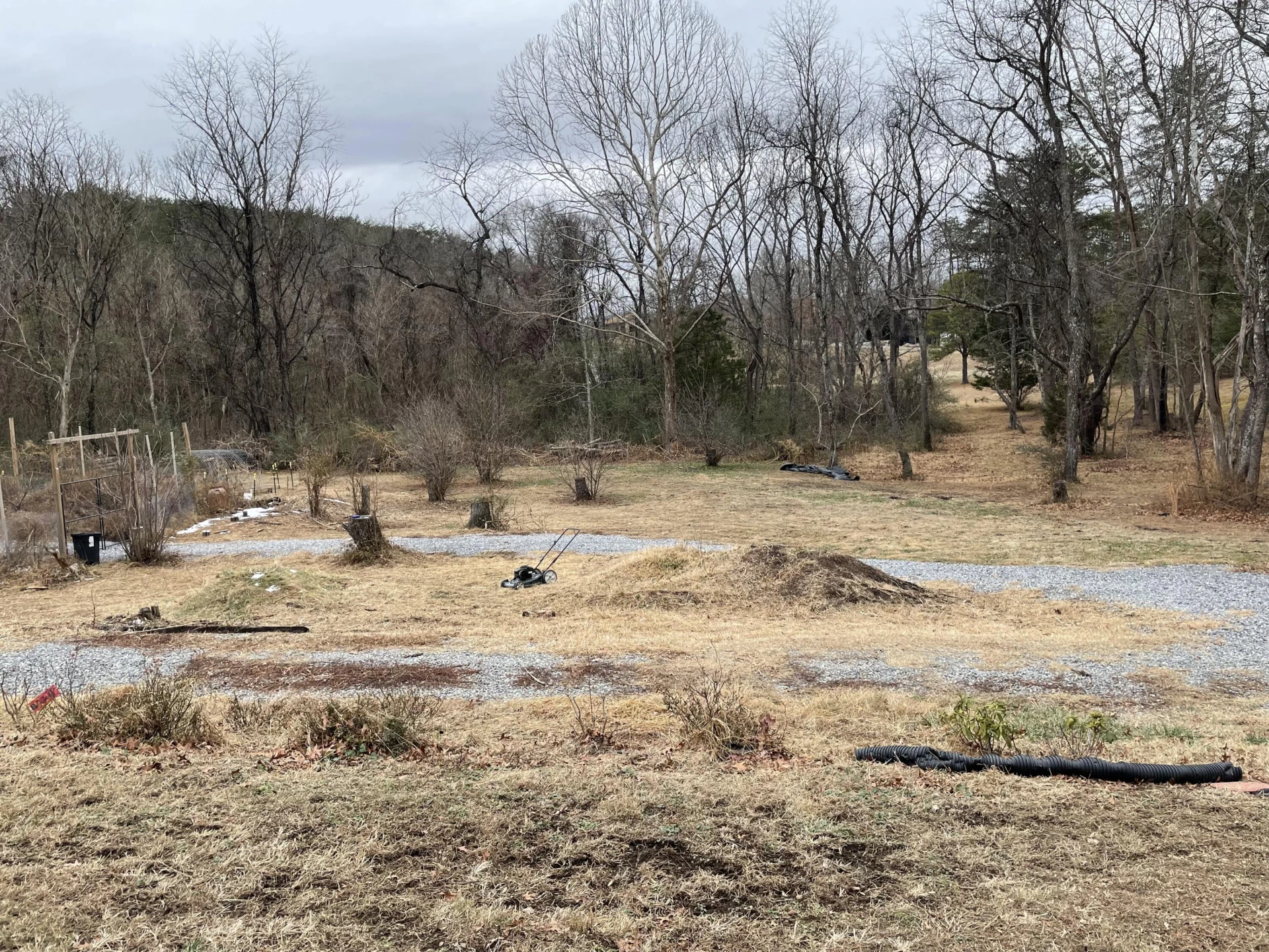 3120 Carvins Cove RD - Photo 63