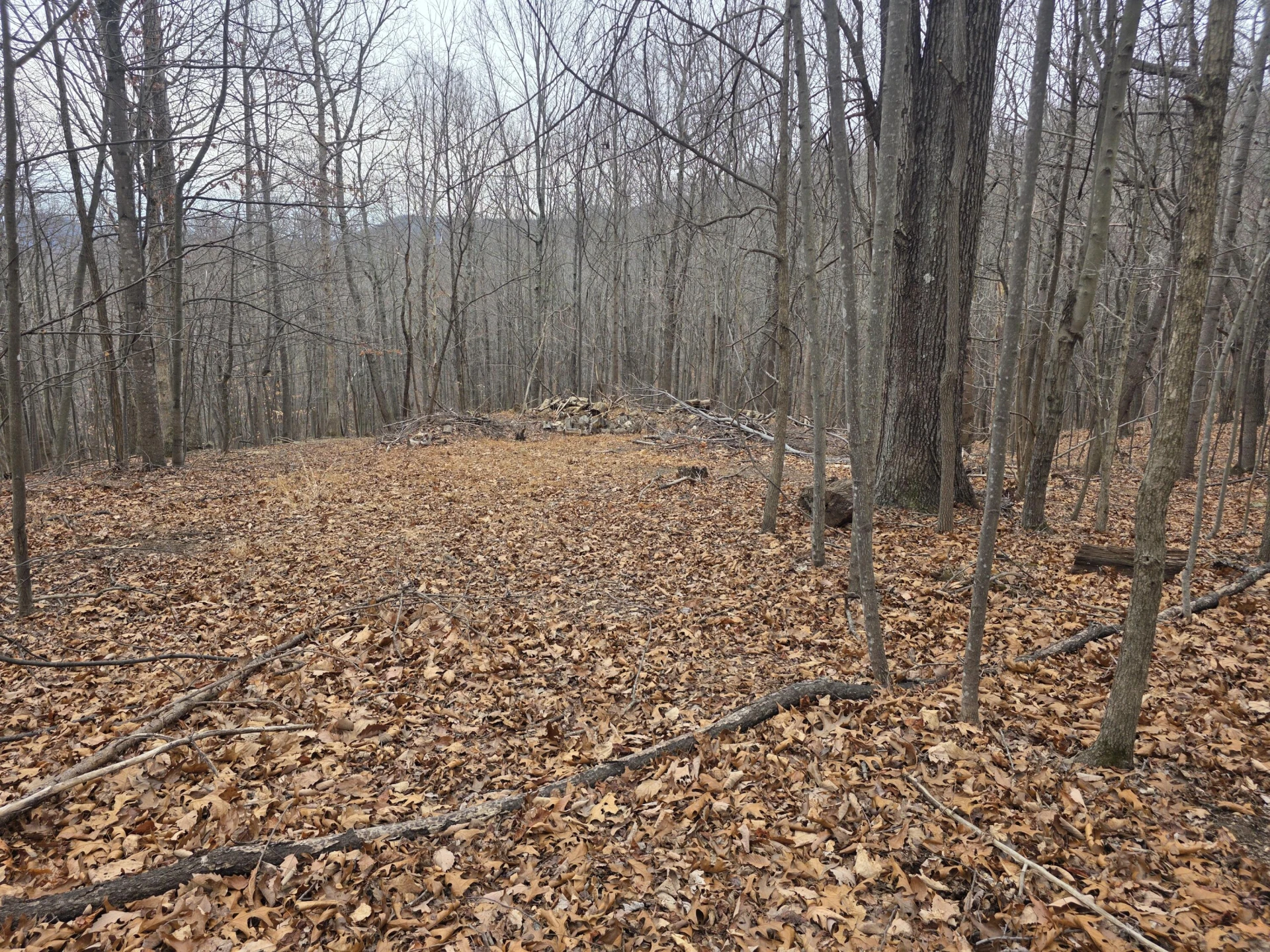 0 Hickory Falls RD