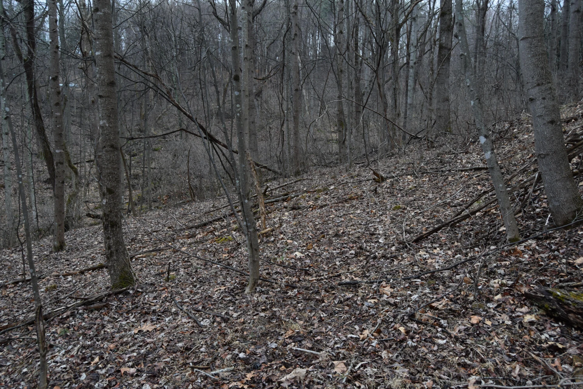 0 Hickory Falls RD - Photo 10