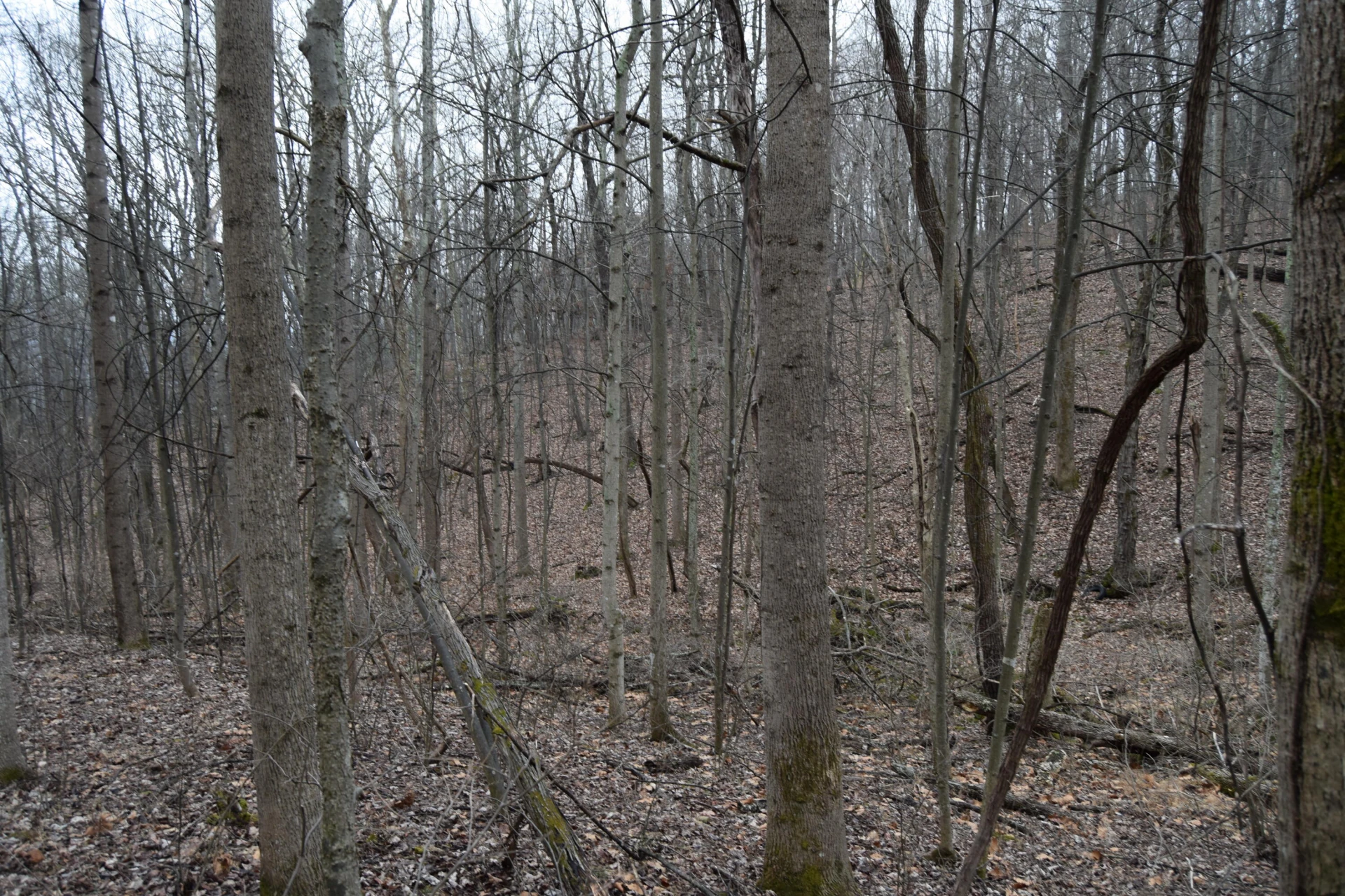 0 Hickory Falls RD - Photo 11