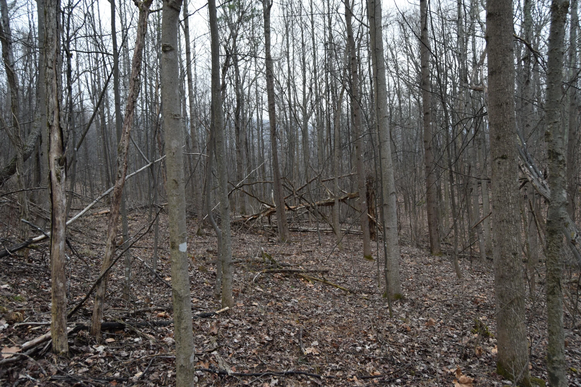 0 Hickory Falls RD - Photo 12