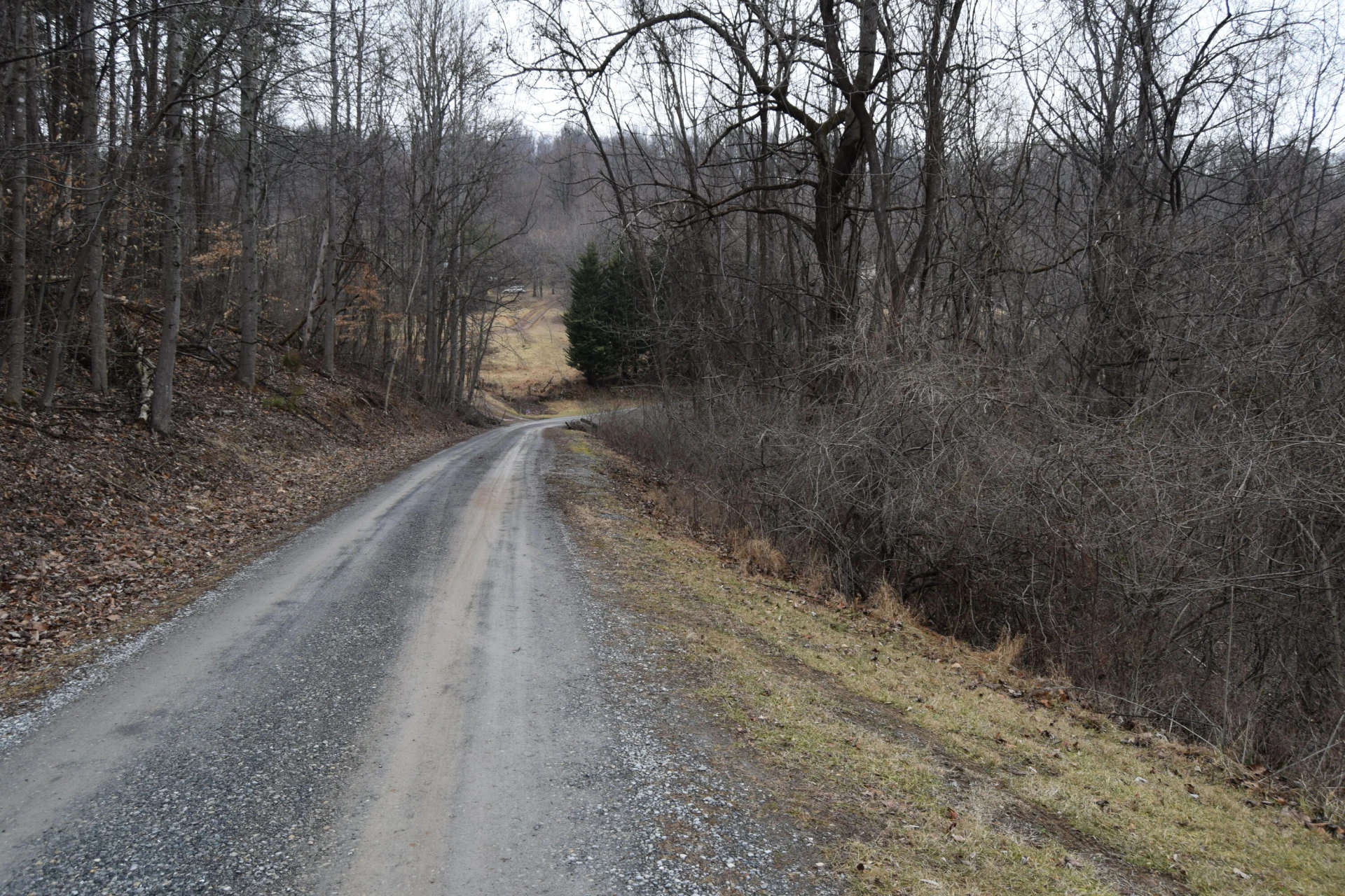 0 Hickory Falls RD - Photo 14