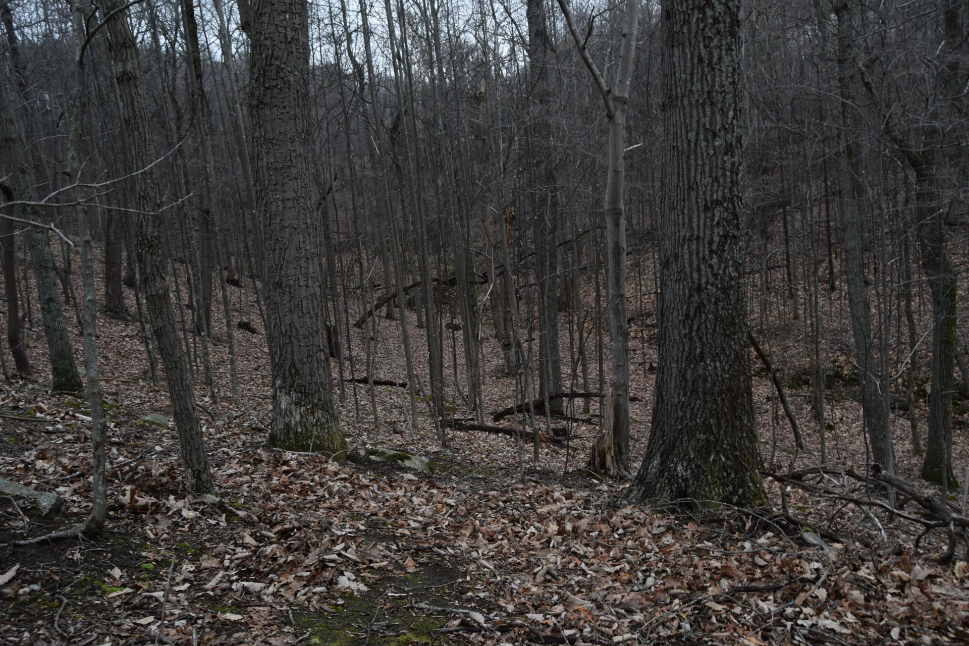0 Hickory Falls RD - Photo 15