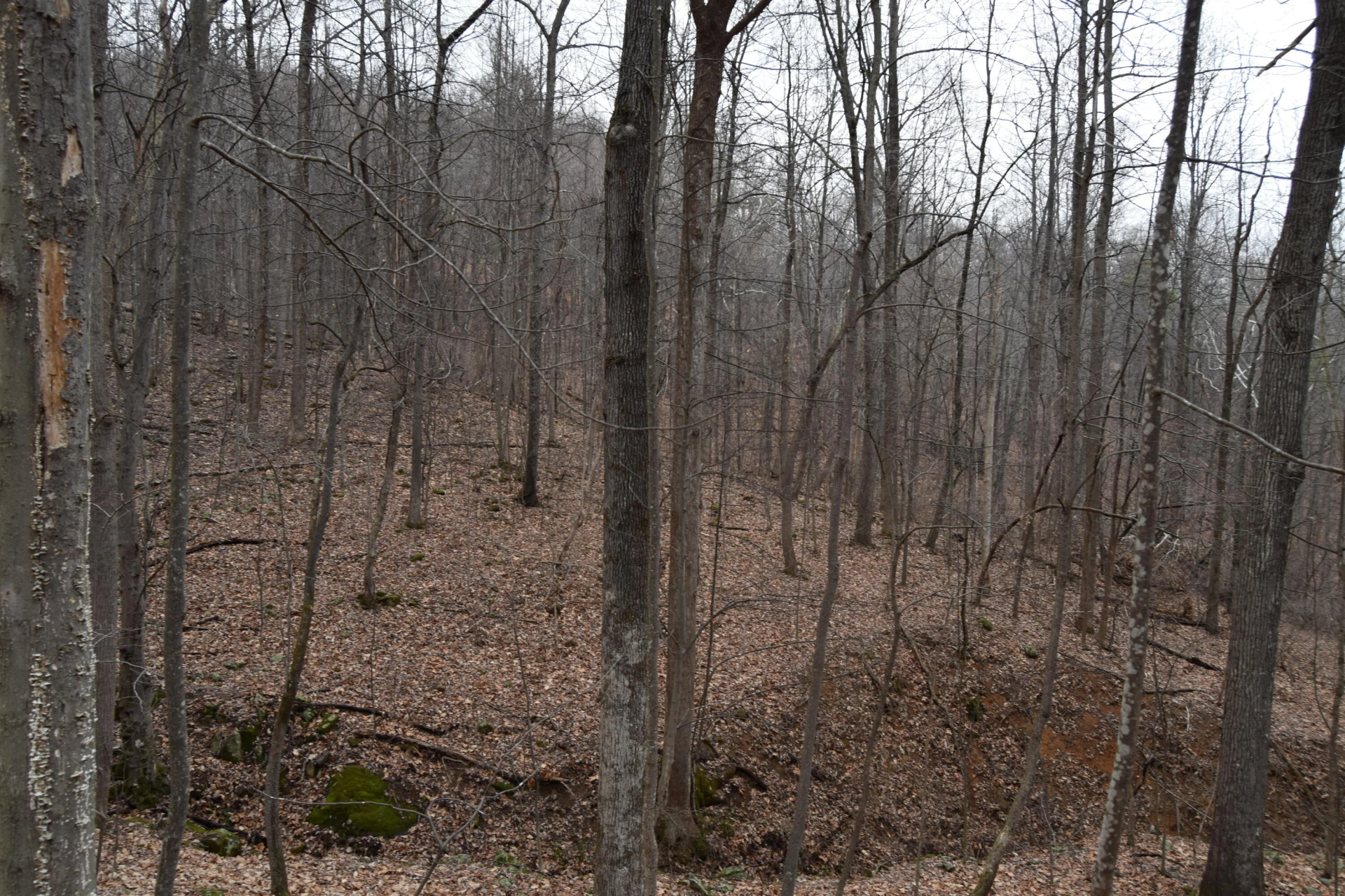 0 Hickory Falls RD - Photo 16