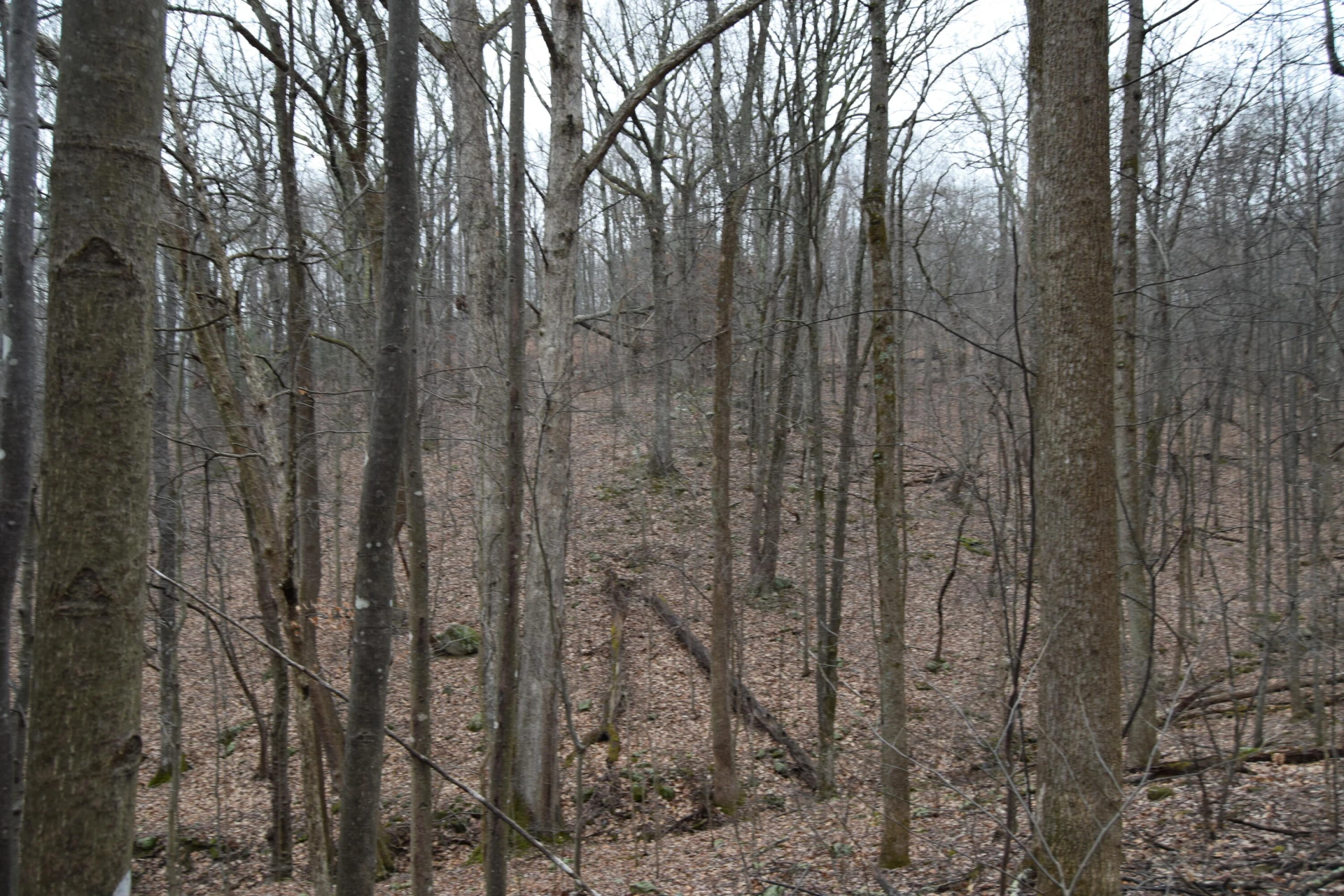 0 Hickory Falls RD - Photo 17