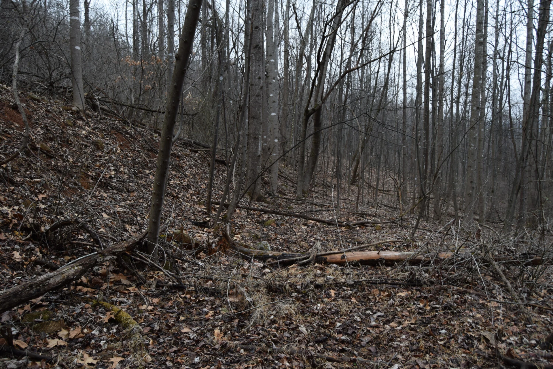 0 Hickory Falls RD - Photo 18