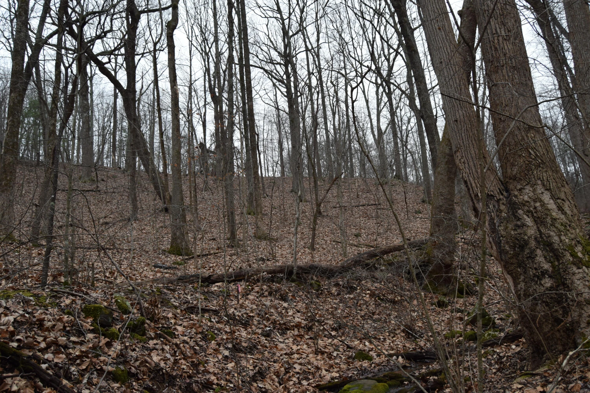 0 Hickory Falls RD - Photo 20