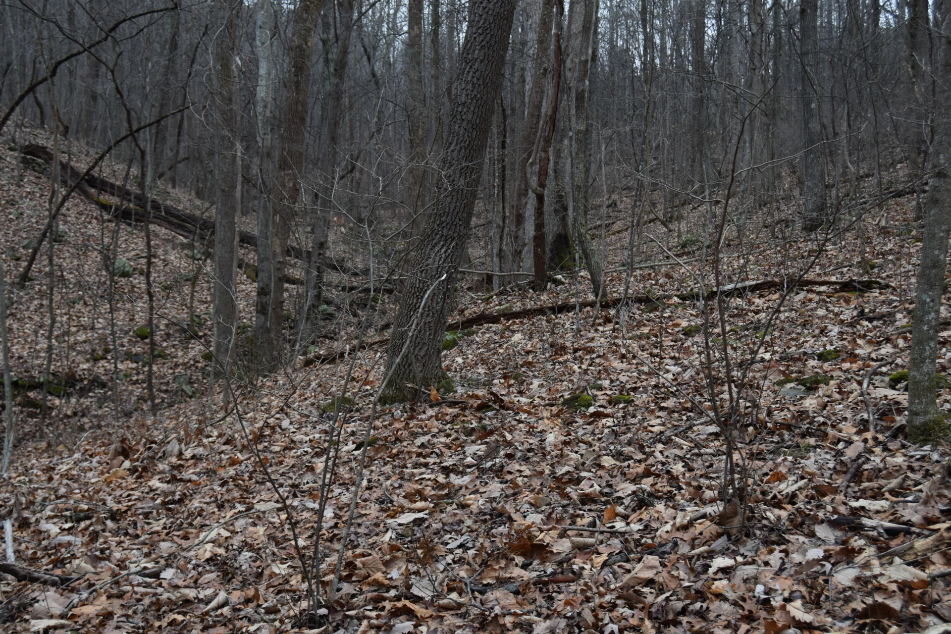 0 Hickory Falls RD - Photo 21