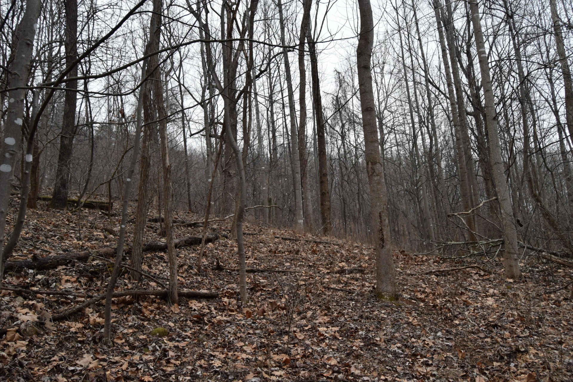 0 Hickory Falls RD - Photo 22
