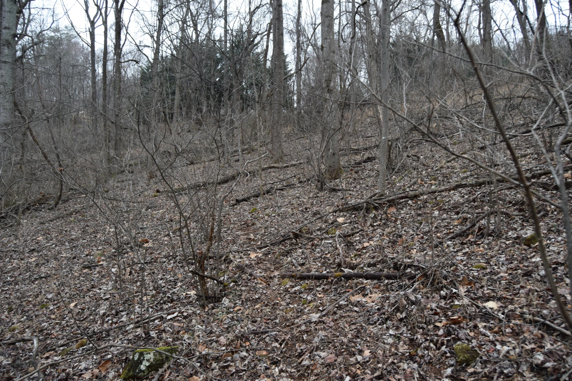 0 Hickory Falls RD - Photo 23