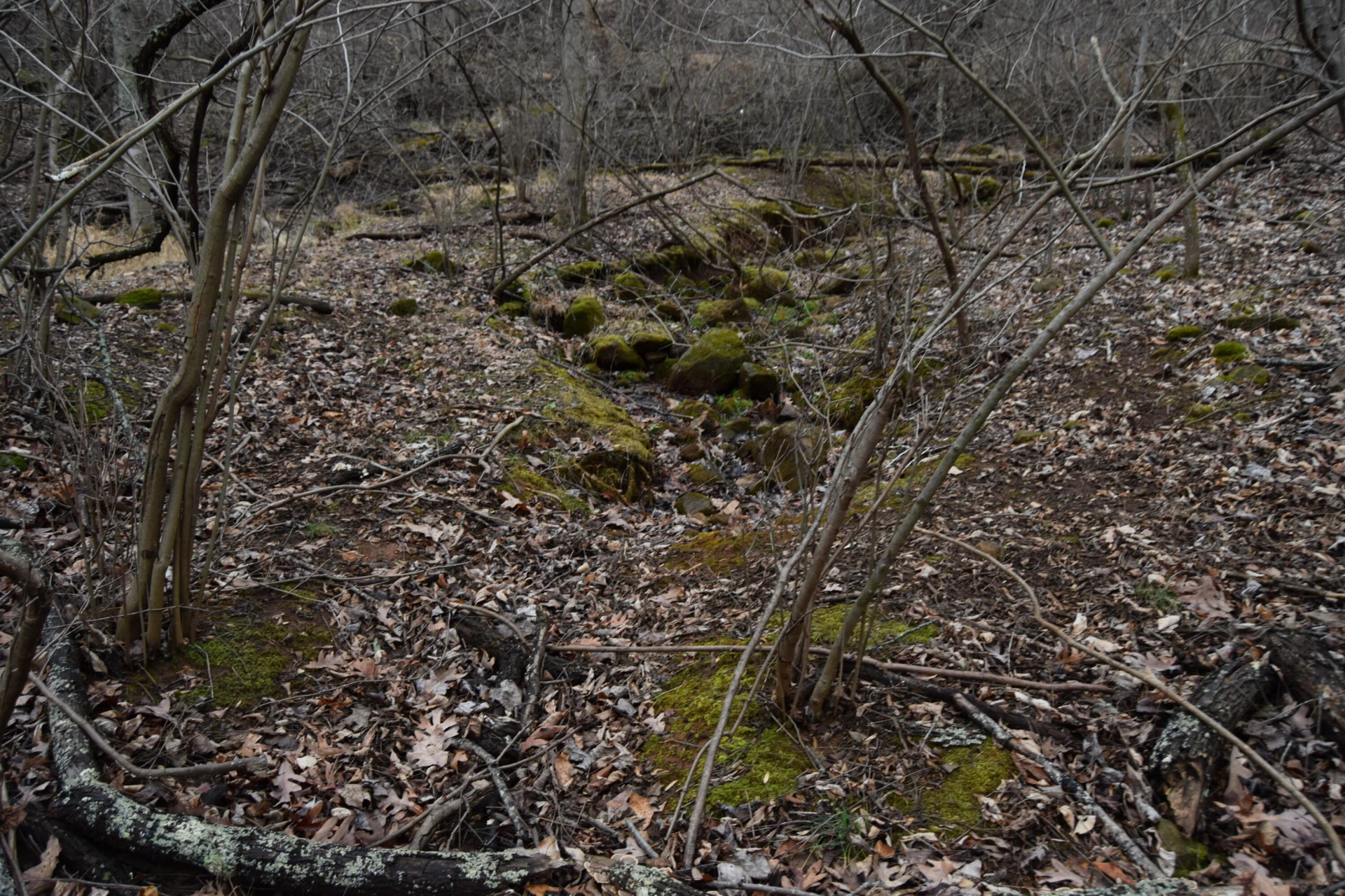 0 Hickory Falls RD - Photo 24