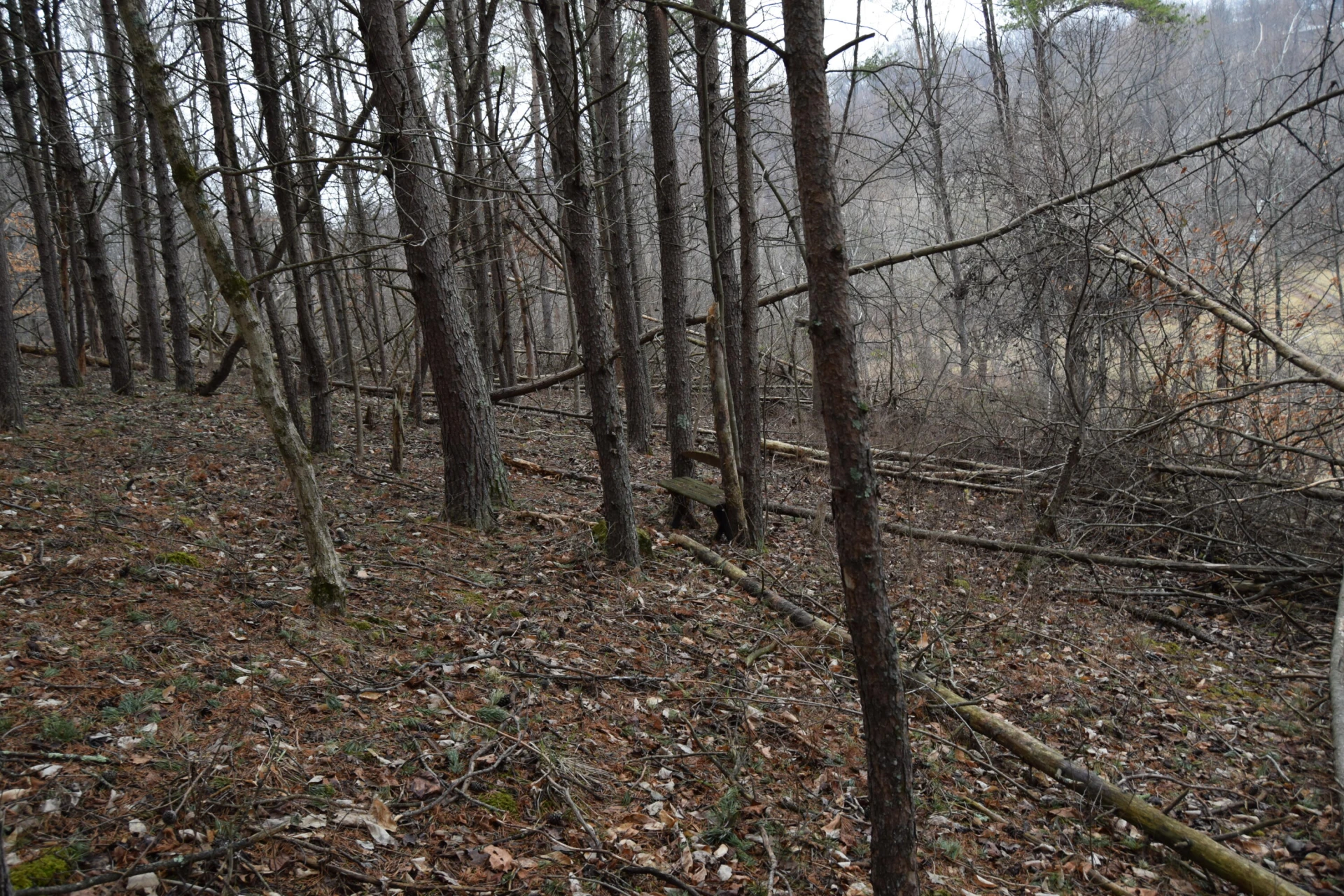 0 Hickory Falls RD - Photo 25
