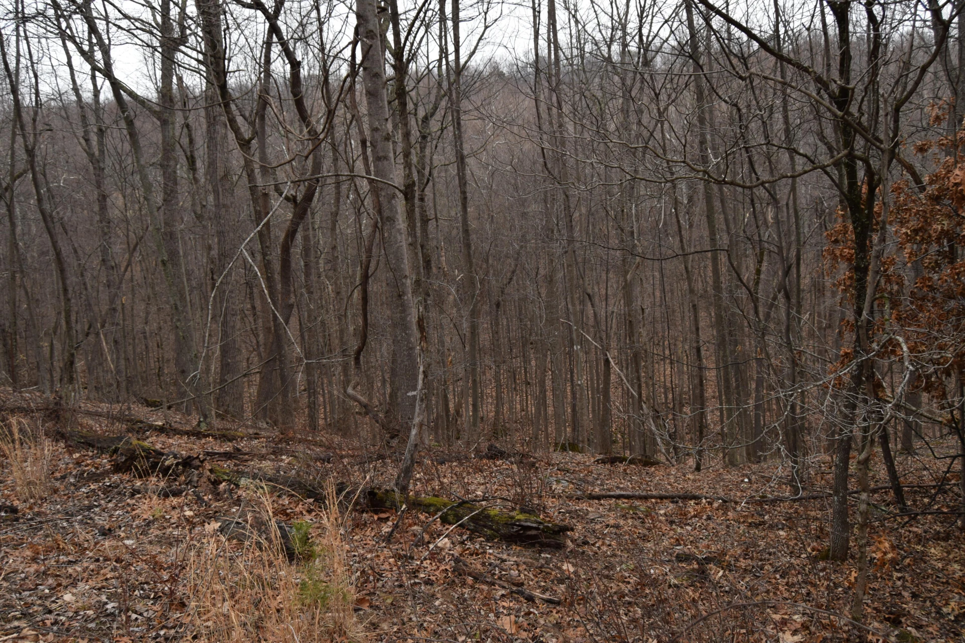 0 Hickory Falls RD - Photo 26