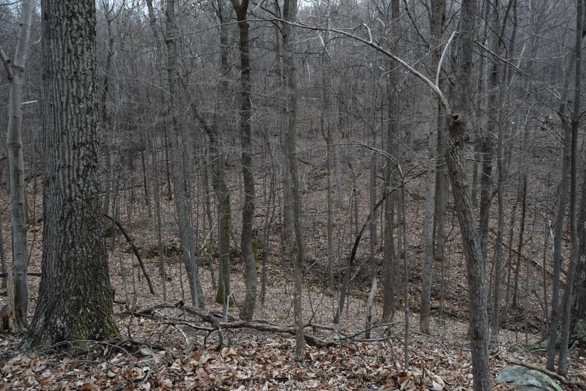 0 Hickory Falls RD - Photo 27