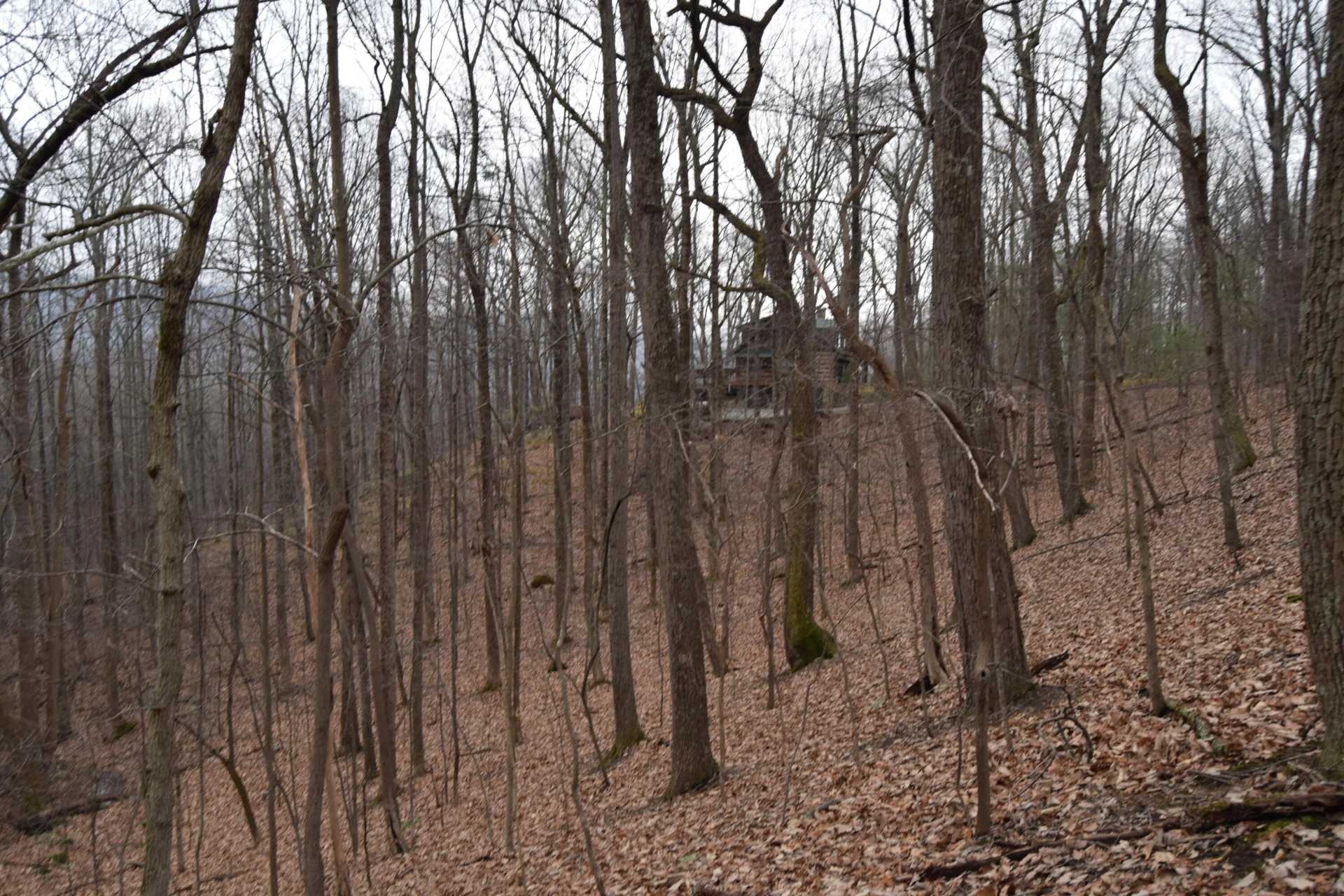 0 Hickory Falls RD - Photo 29