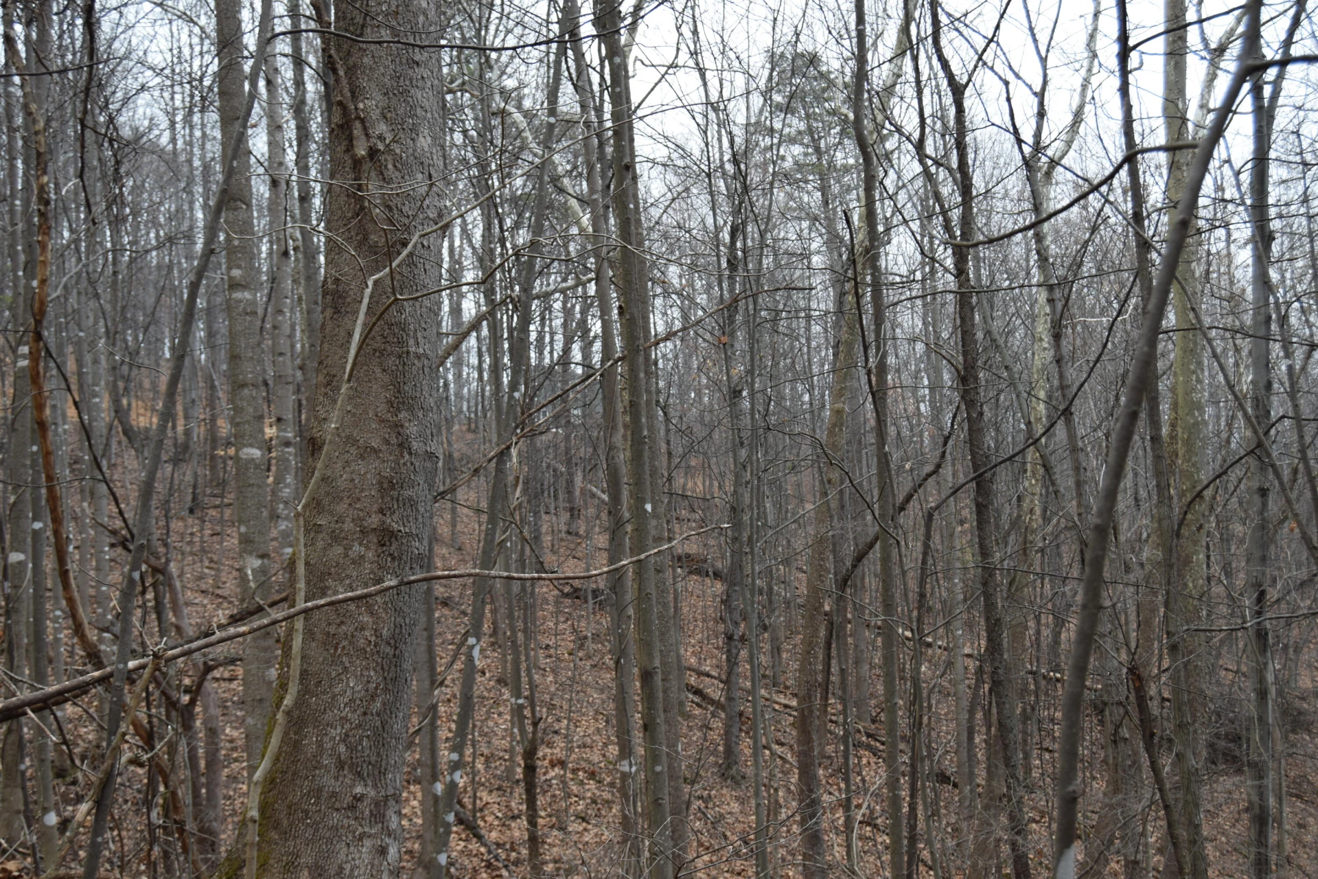 0 Hickory Falls RD - Photo 30