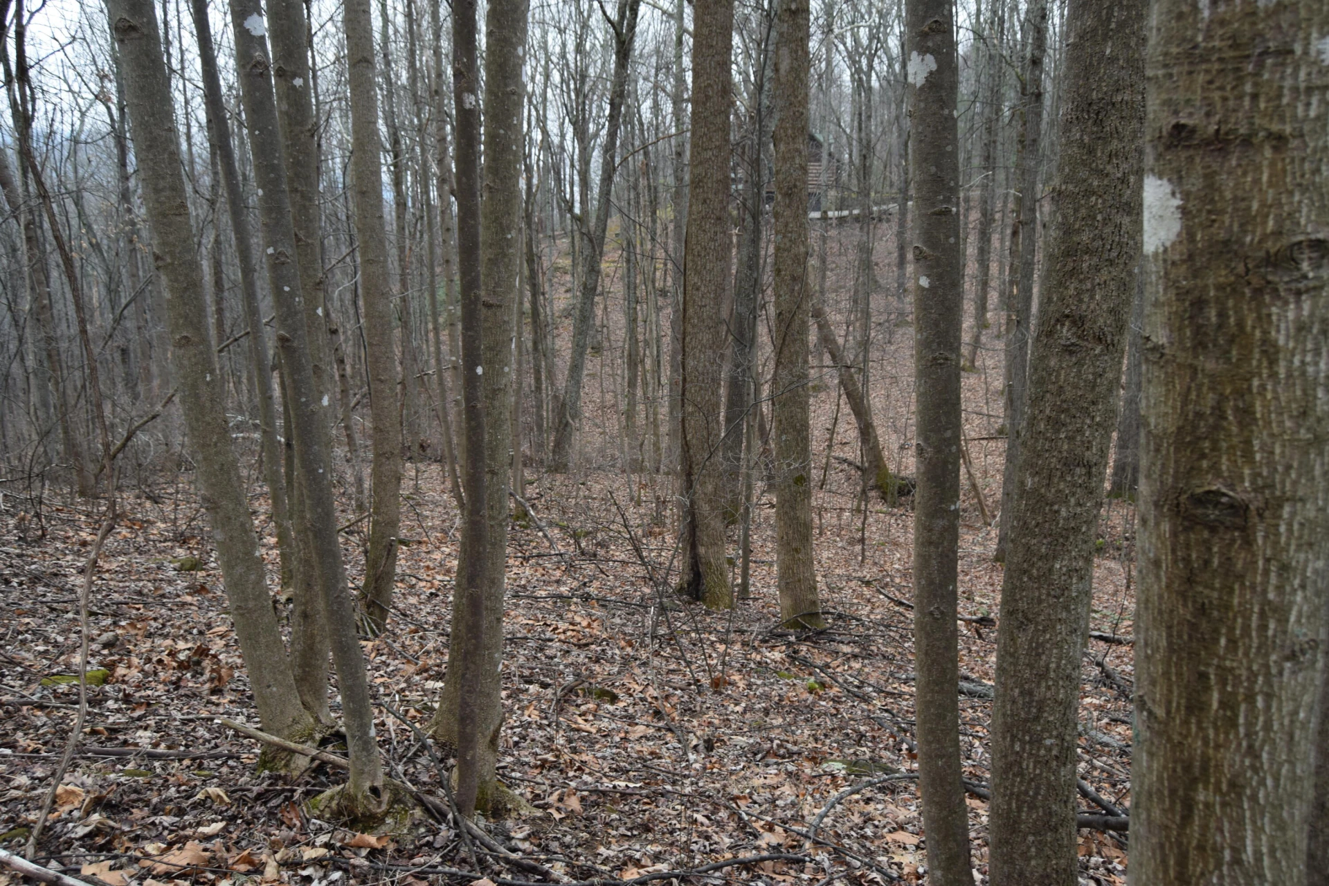 0 Hickory Falls RD - Photo 31