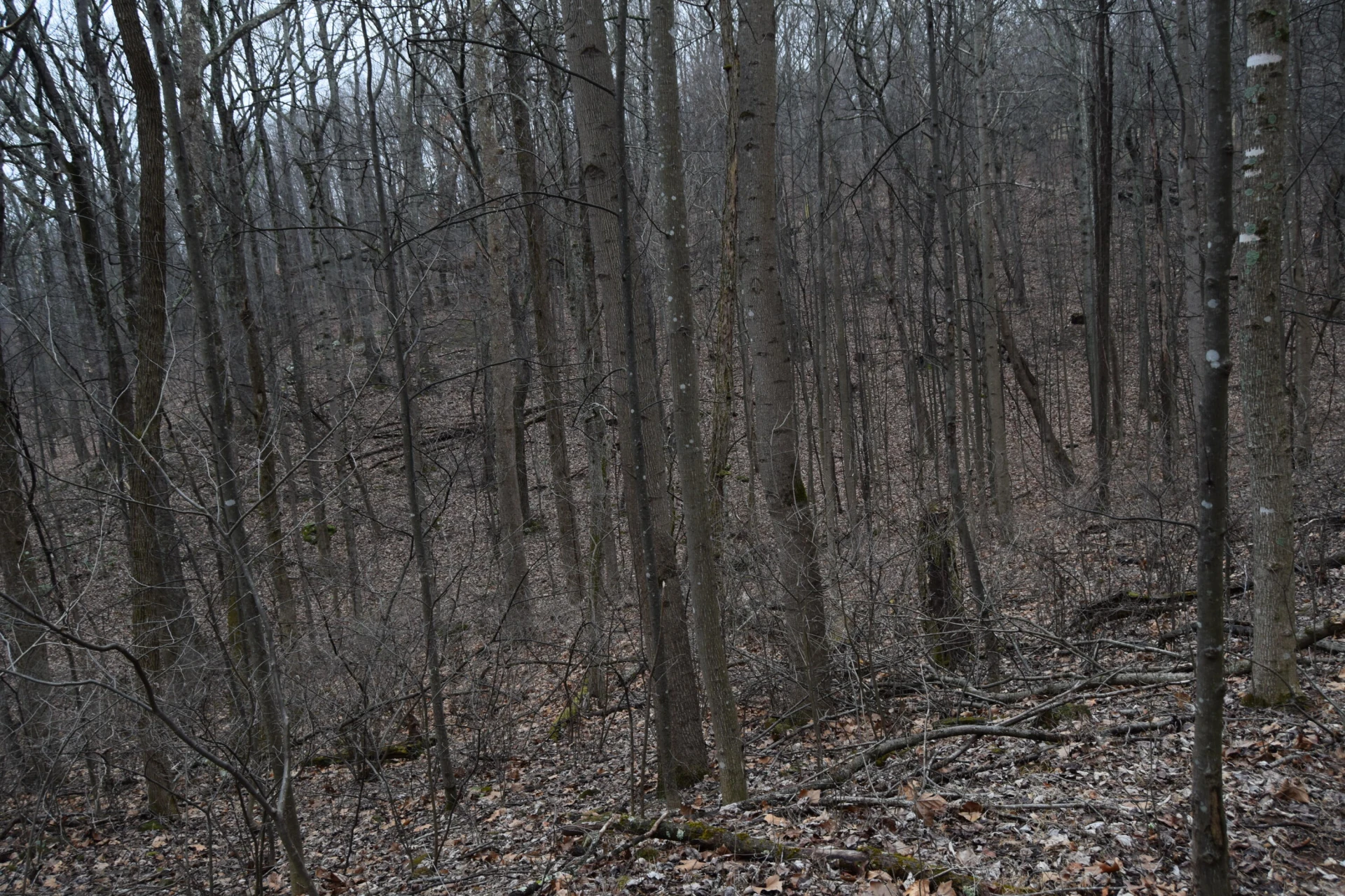 0 Hickory Falls RD - Photo 32