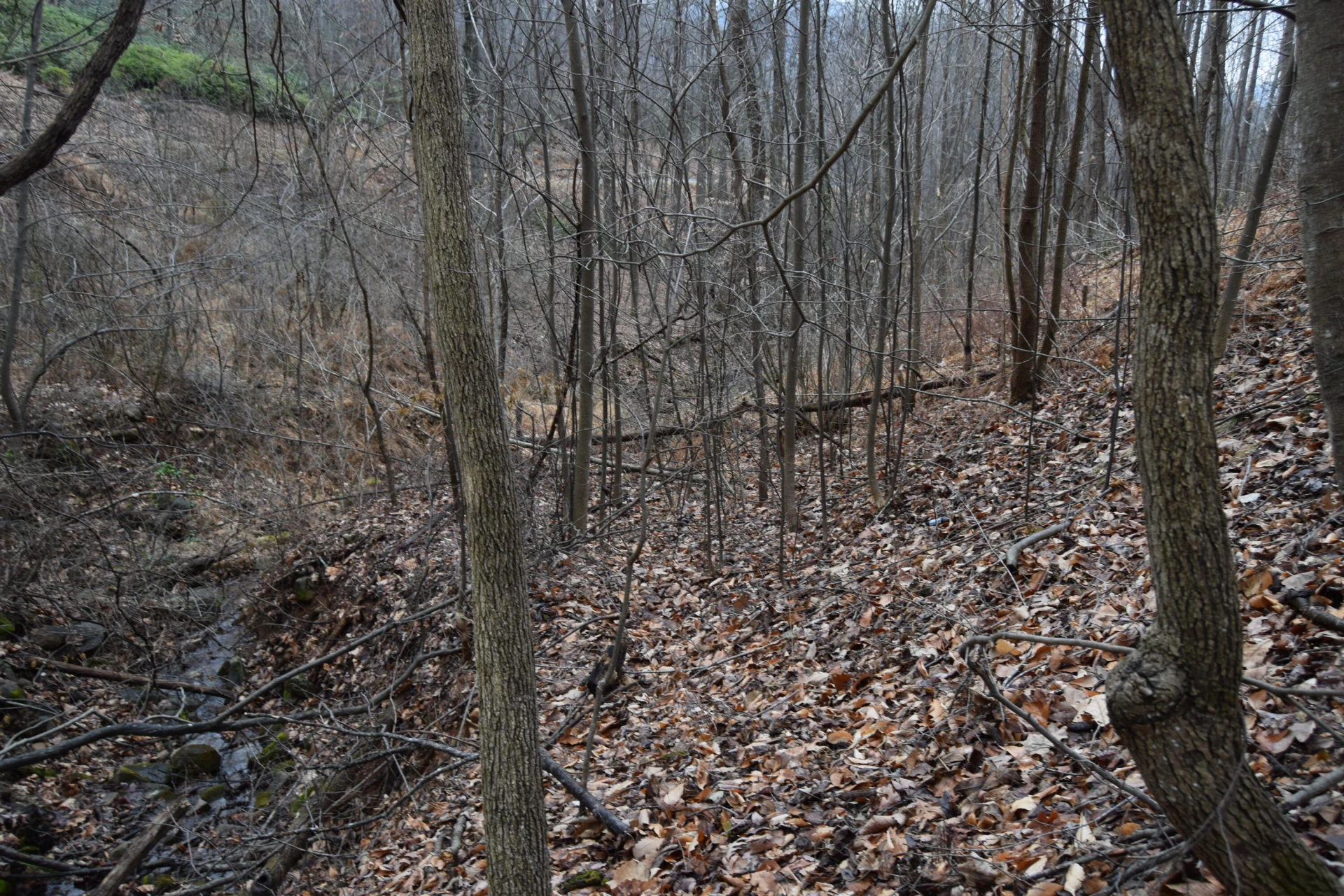 0 Hickory Falls RD - Photo 36