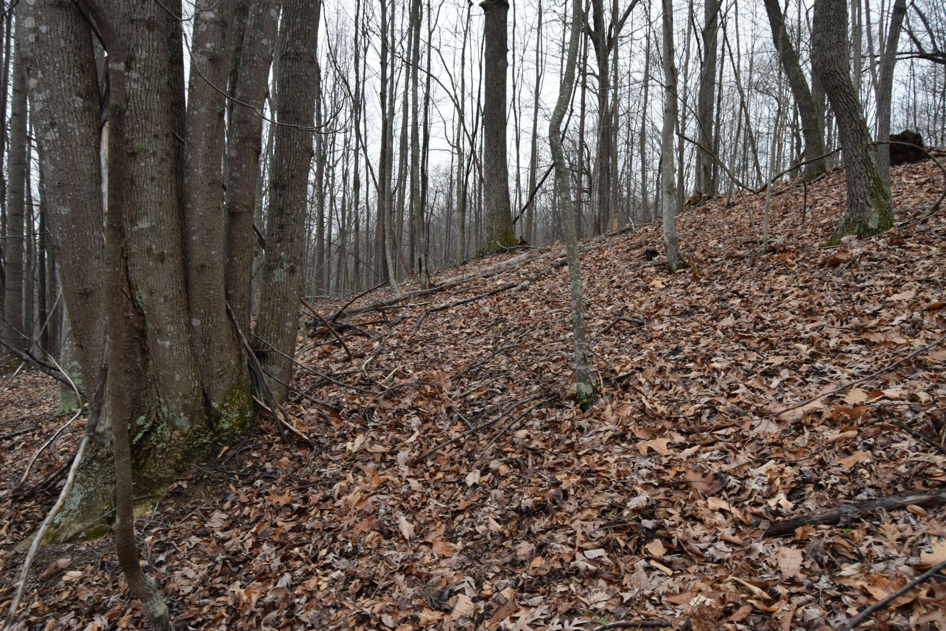 0 Hickory Falls RD - Photo 37