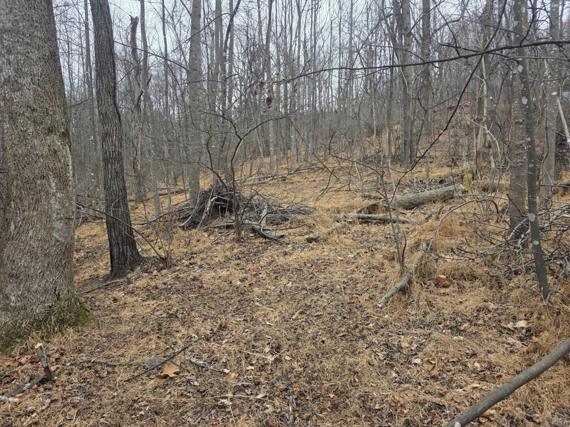 0 Hickory Falls RD - Photo 4