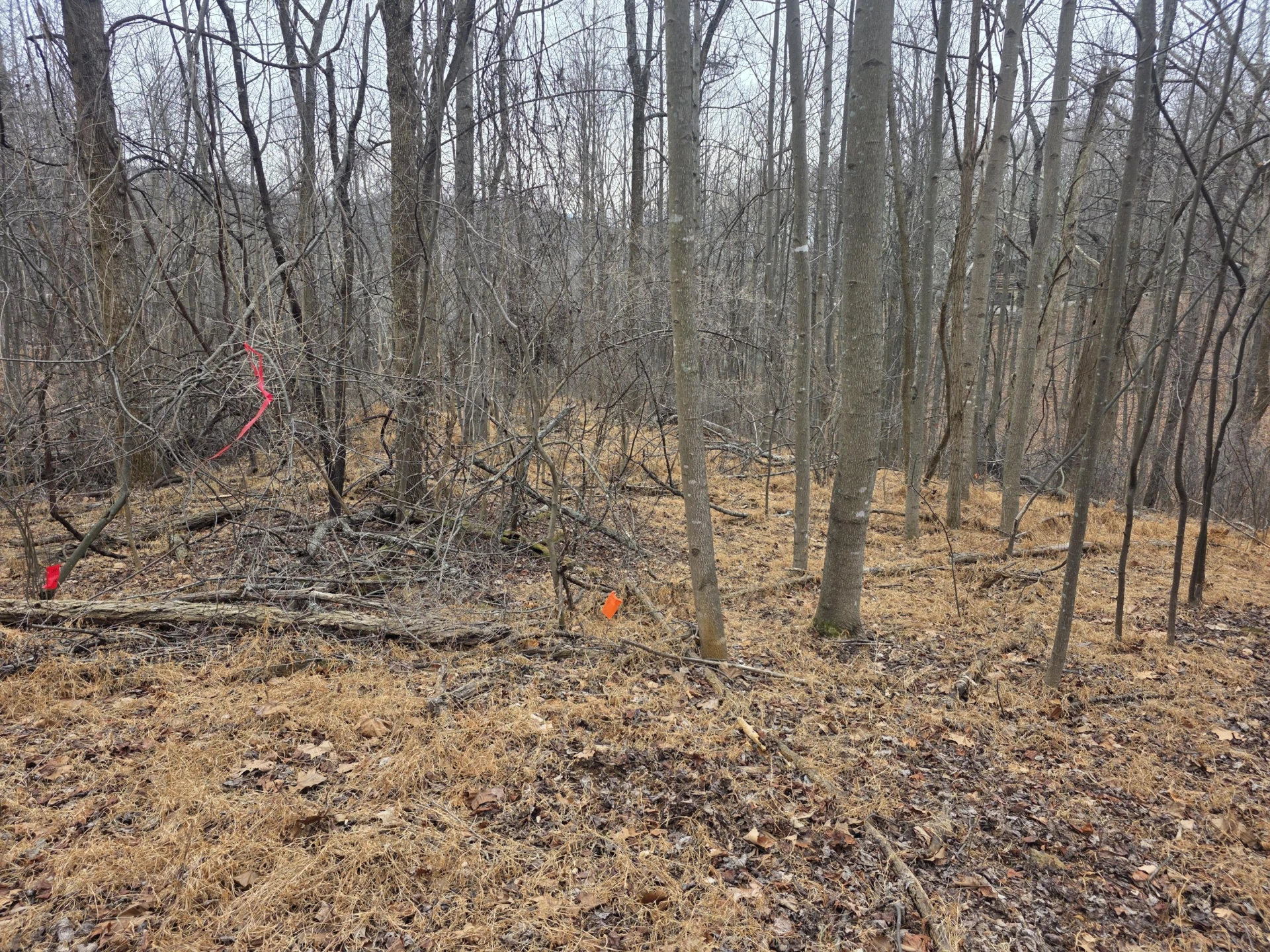 0 Hickory Falls RD - Photo 6