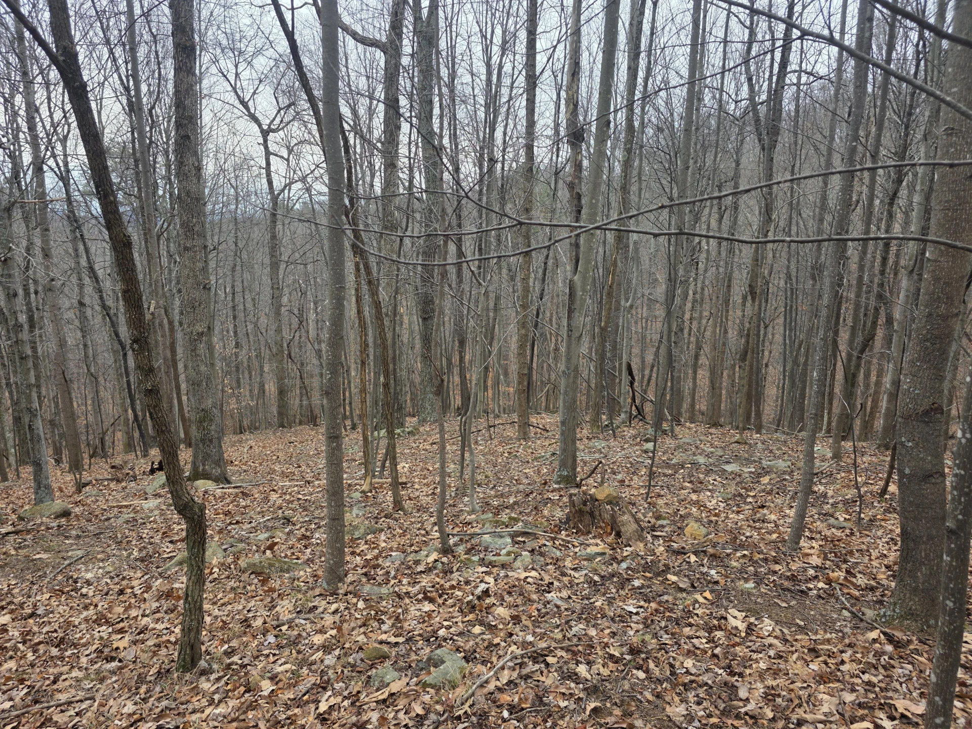 0 Hickory Falls RD - Photo 8