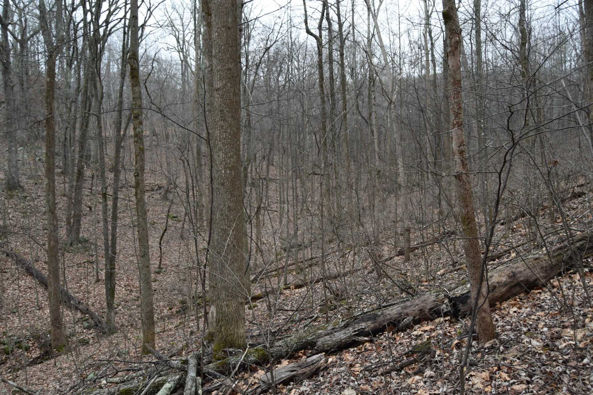 0 Hickory Falls RD - Photo 9