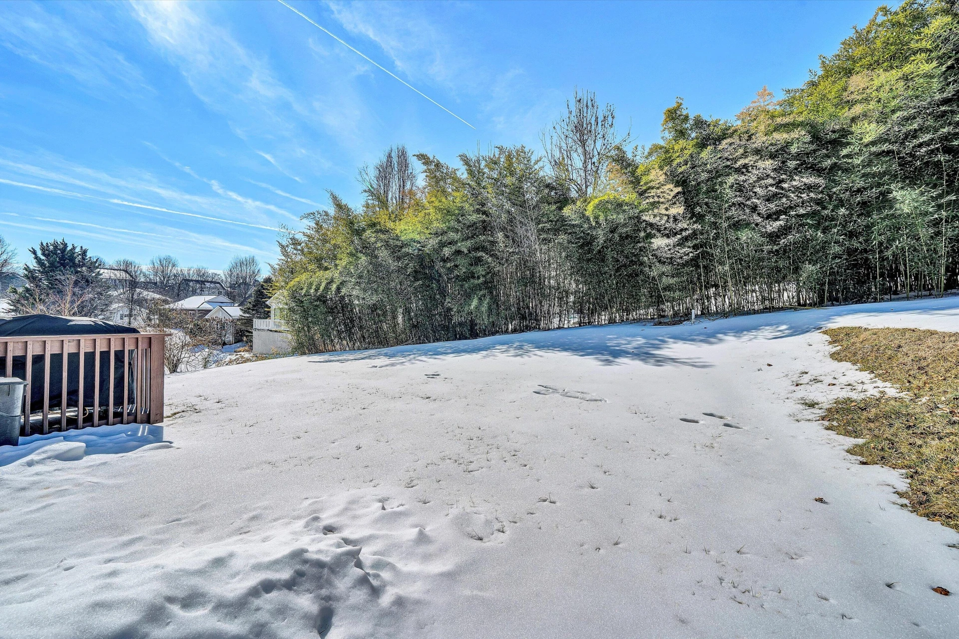 409 Wills RD - Photo 39
