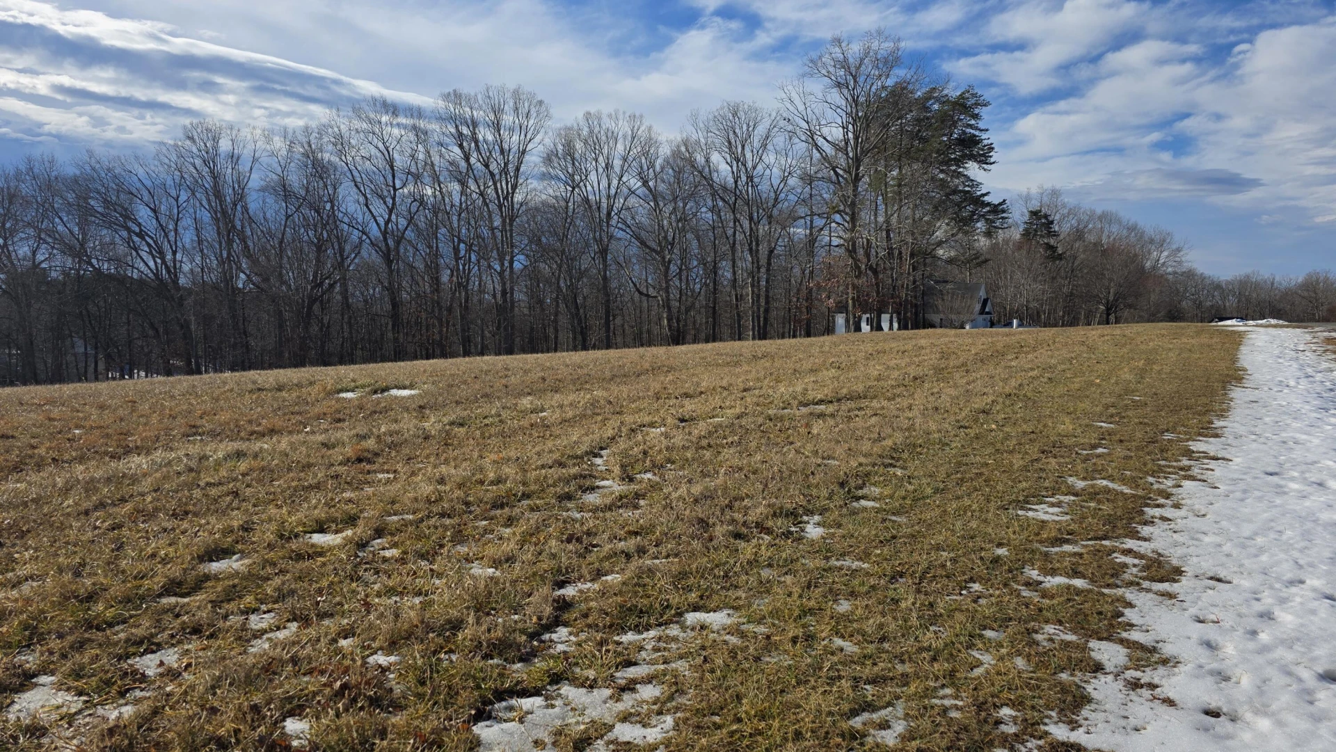 Lot 26 Camellia PL - Photo 2