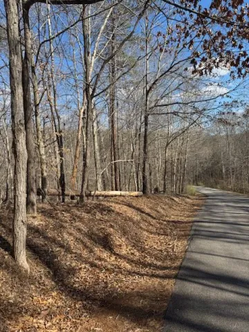 Lot 1 Gap Bridge RD, Moneta, VA, 24121
