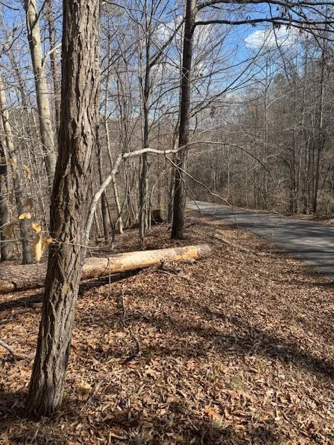 Lot 1 Gap Bridge RD - Photo 9