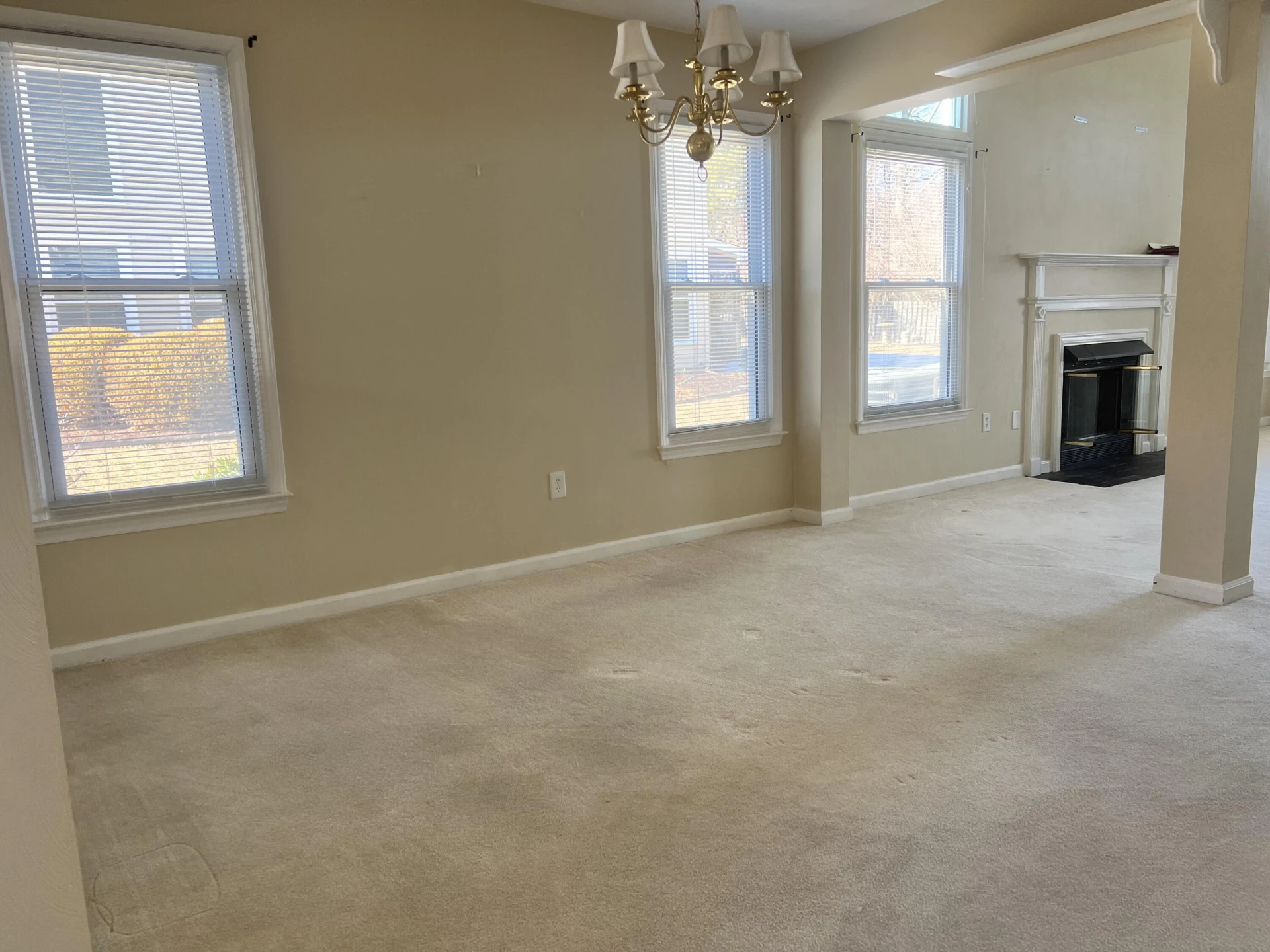 7226 Scarlet Oak DR - Photo 5