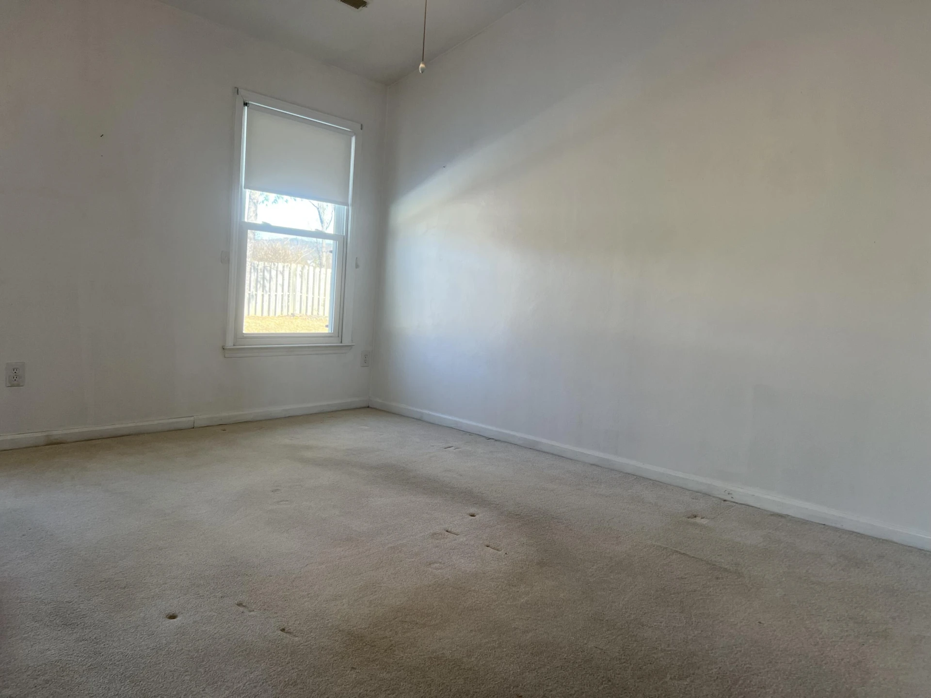 7226 Scarlet Oak DR - Photo 8